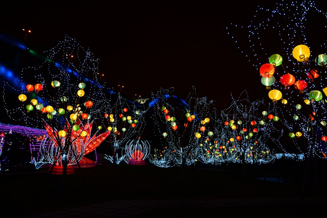 a tree with lights,