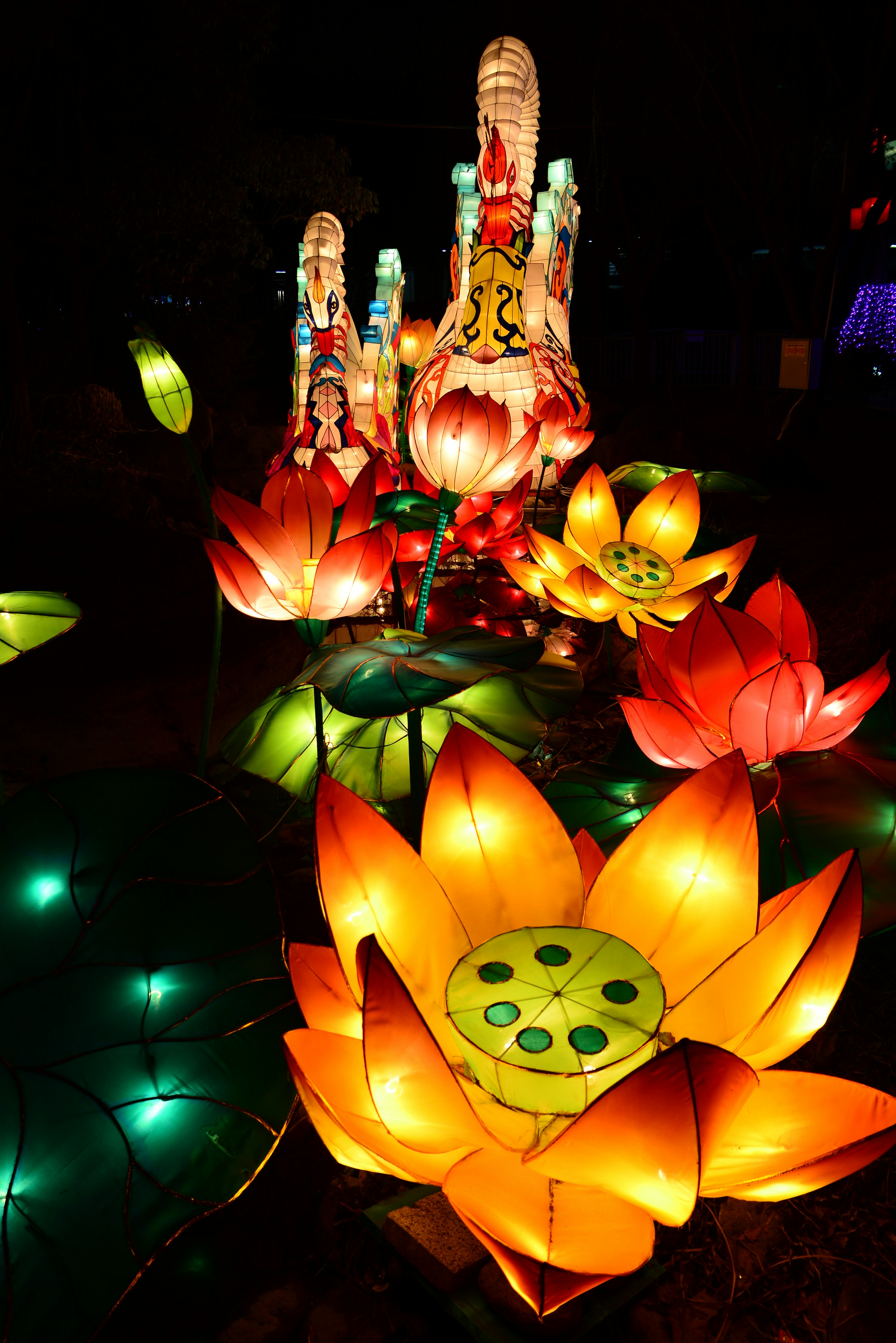 Photo by adriansiaril