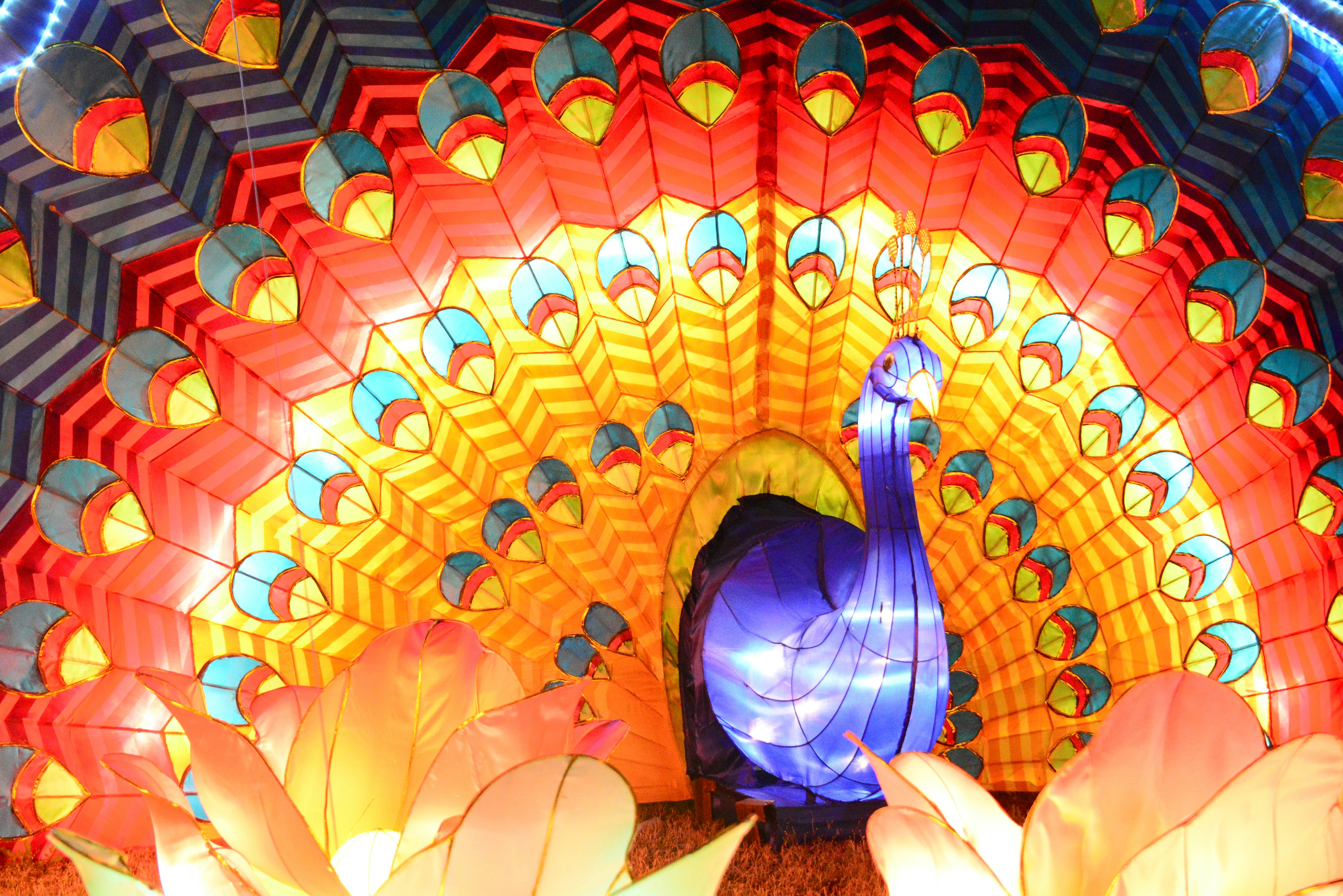 Photo by adriansiaril