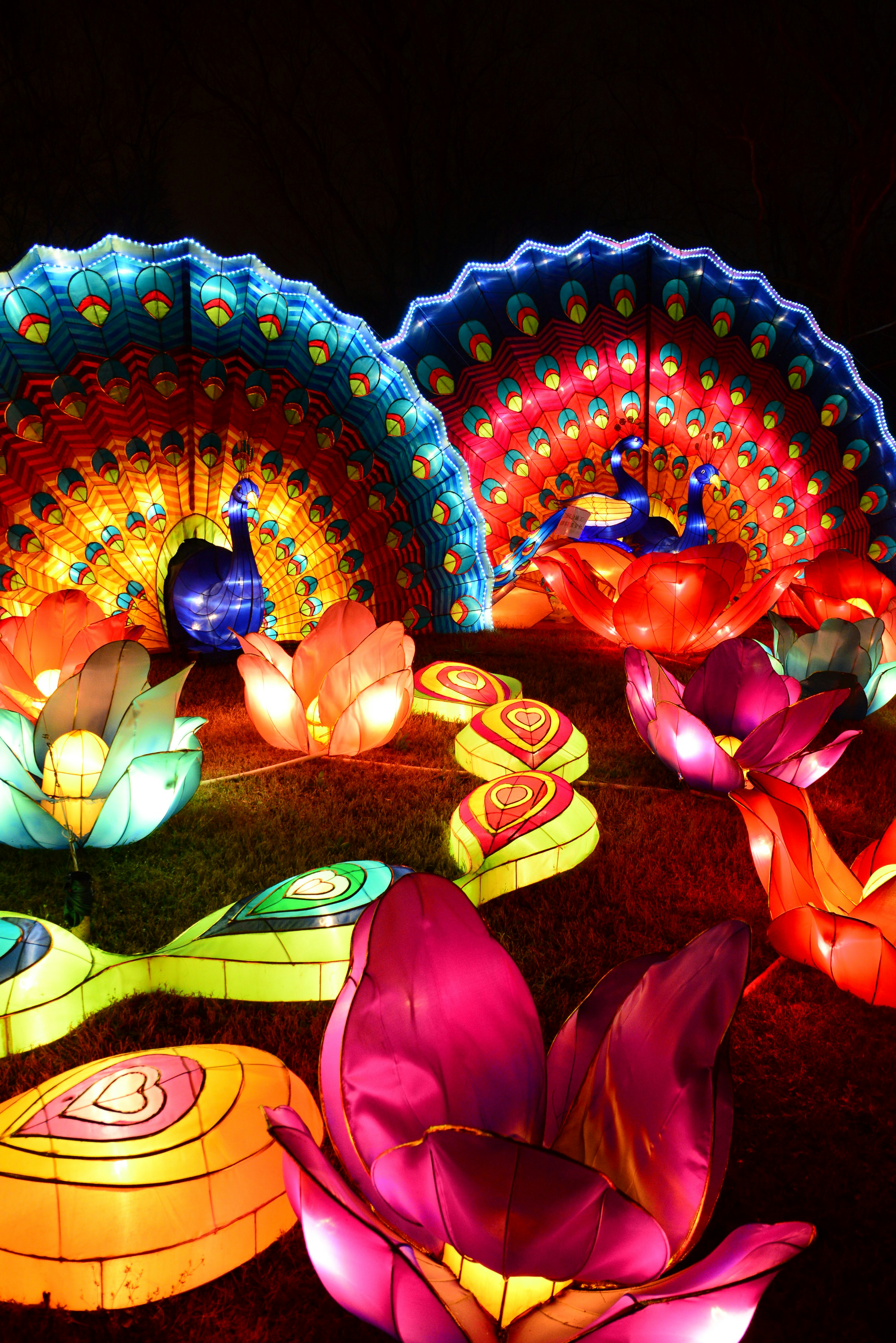 Photo by adriansiaril