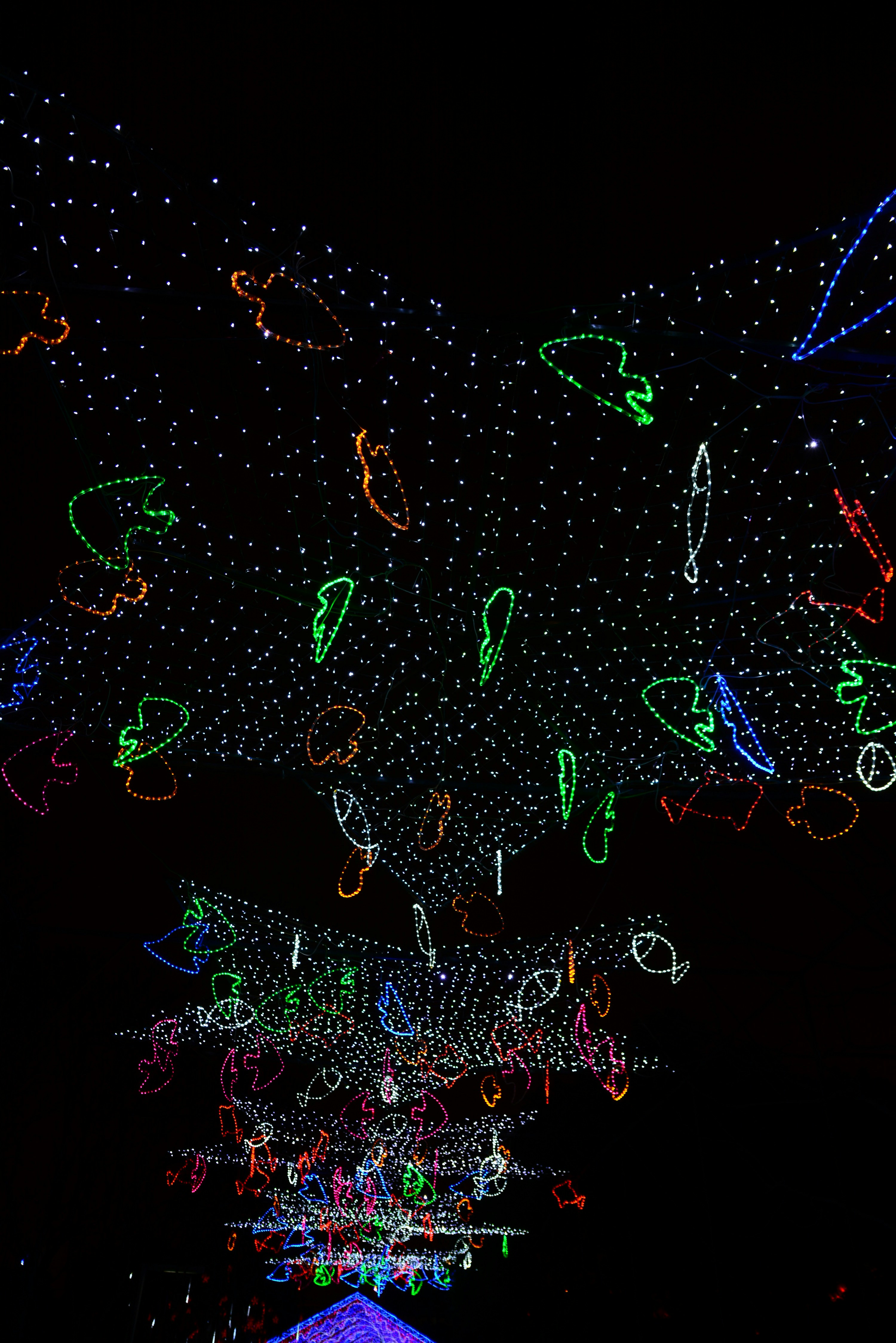 How THCA Works in the Body Interaction with Receptors Metabolism and Onset of Effects