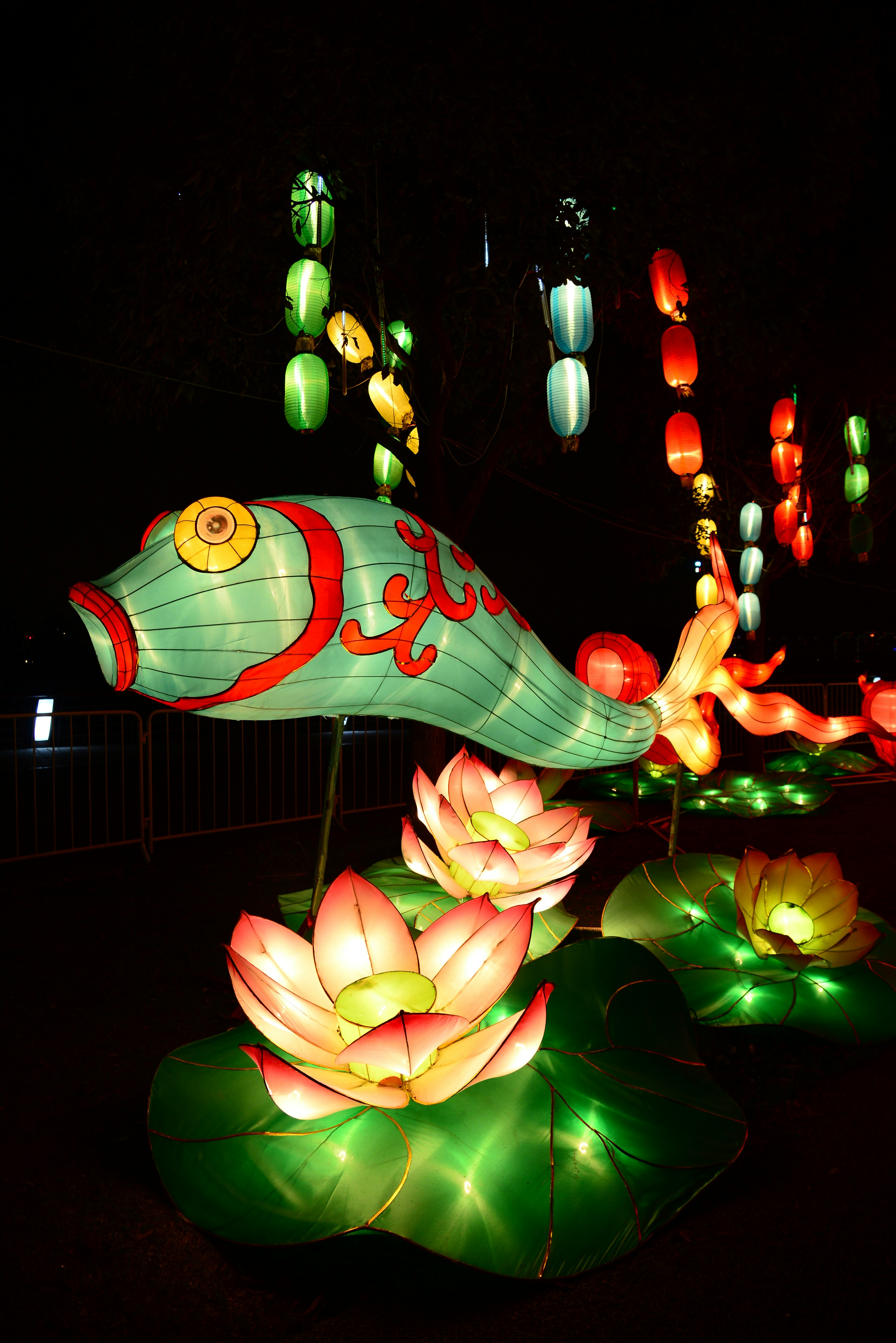 Photo by adriansiaril