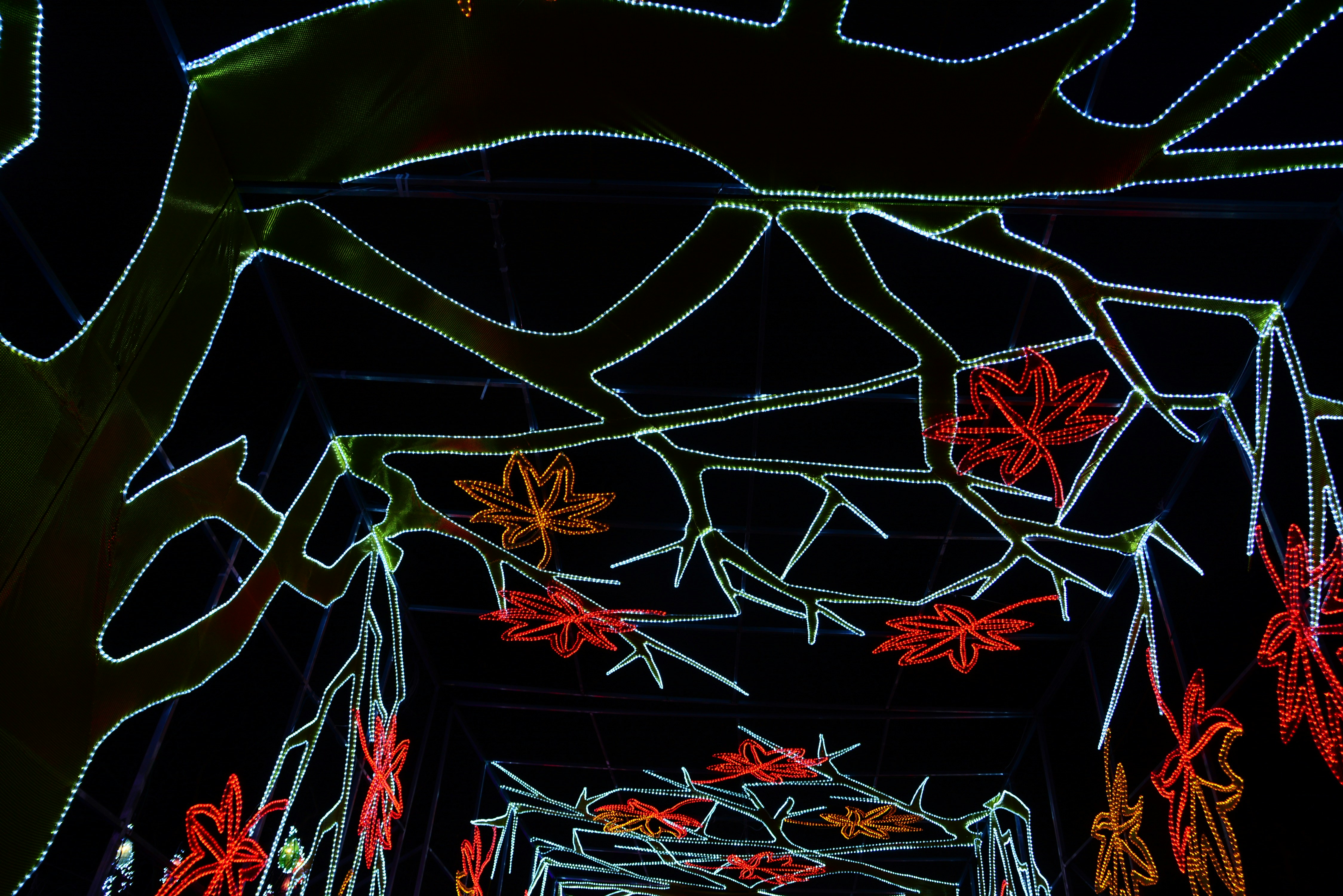 Photo by adriansiaril