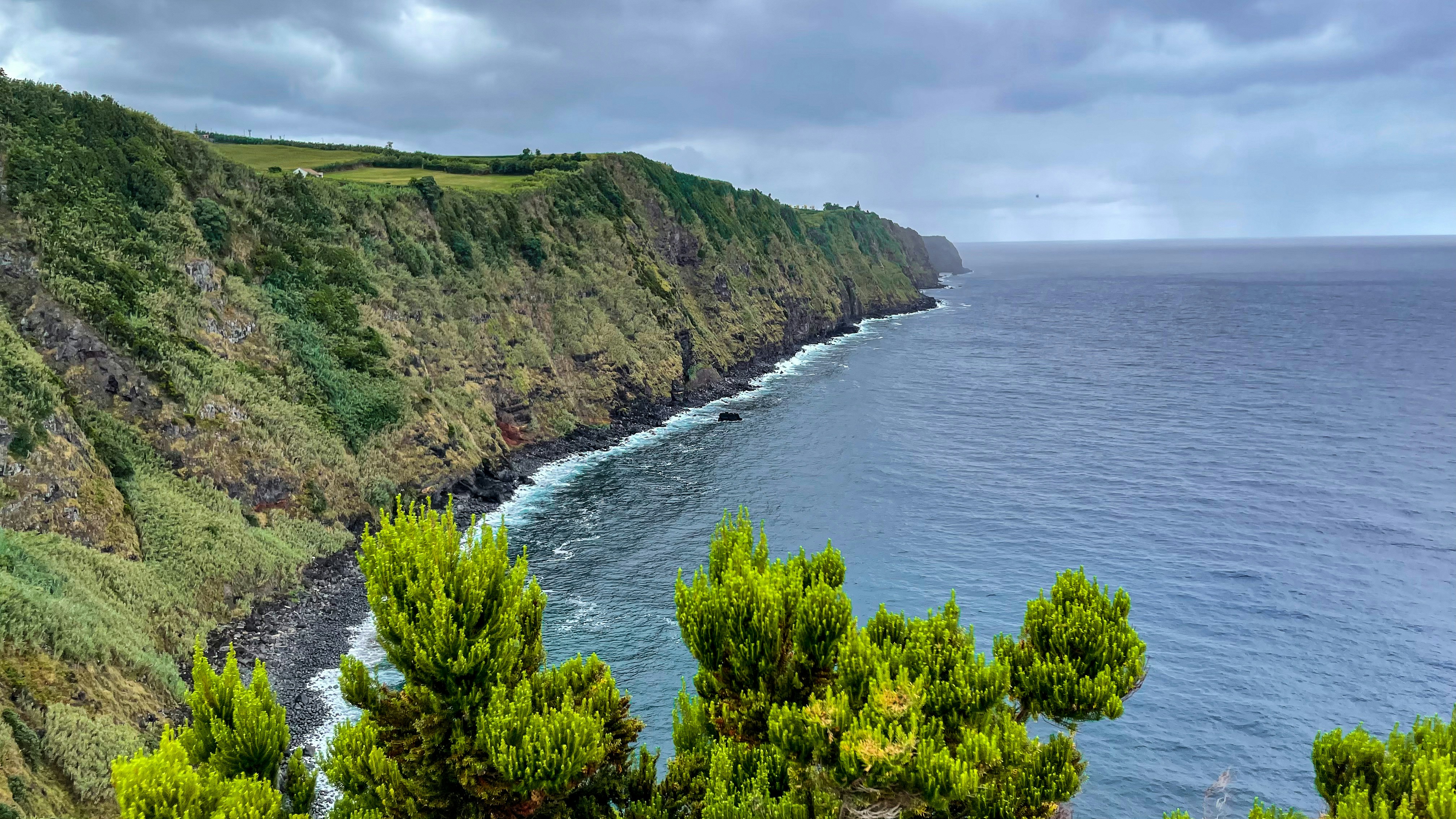 Photo by tyrannosara