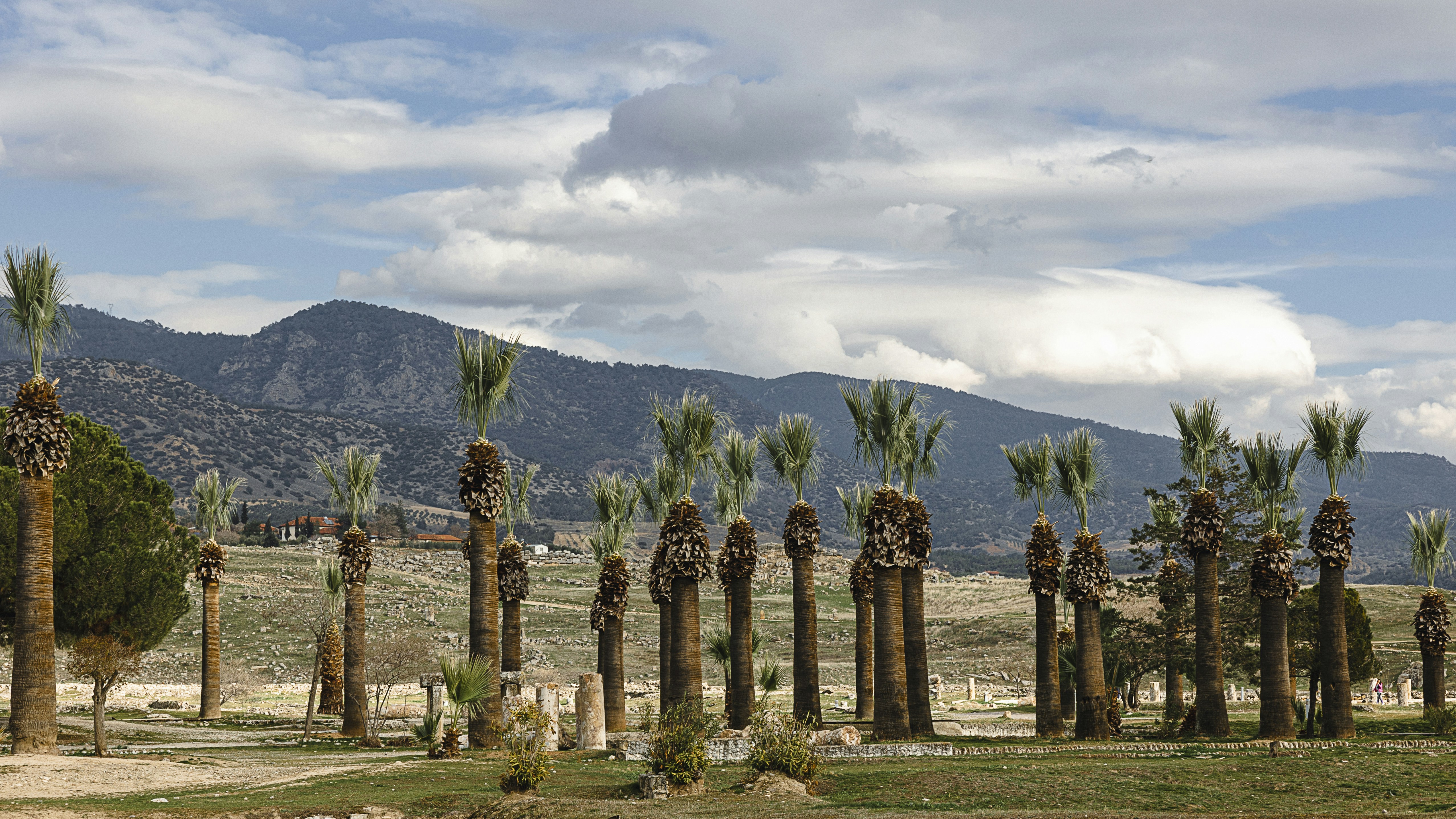 Yucca Plains Historical Marker