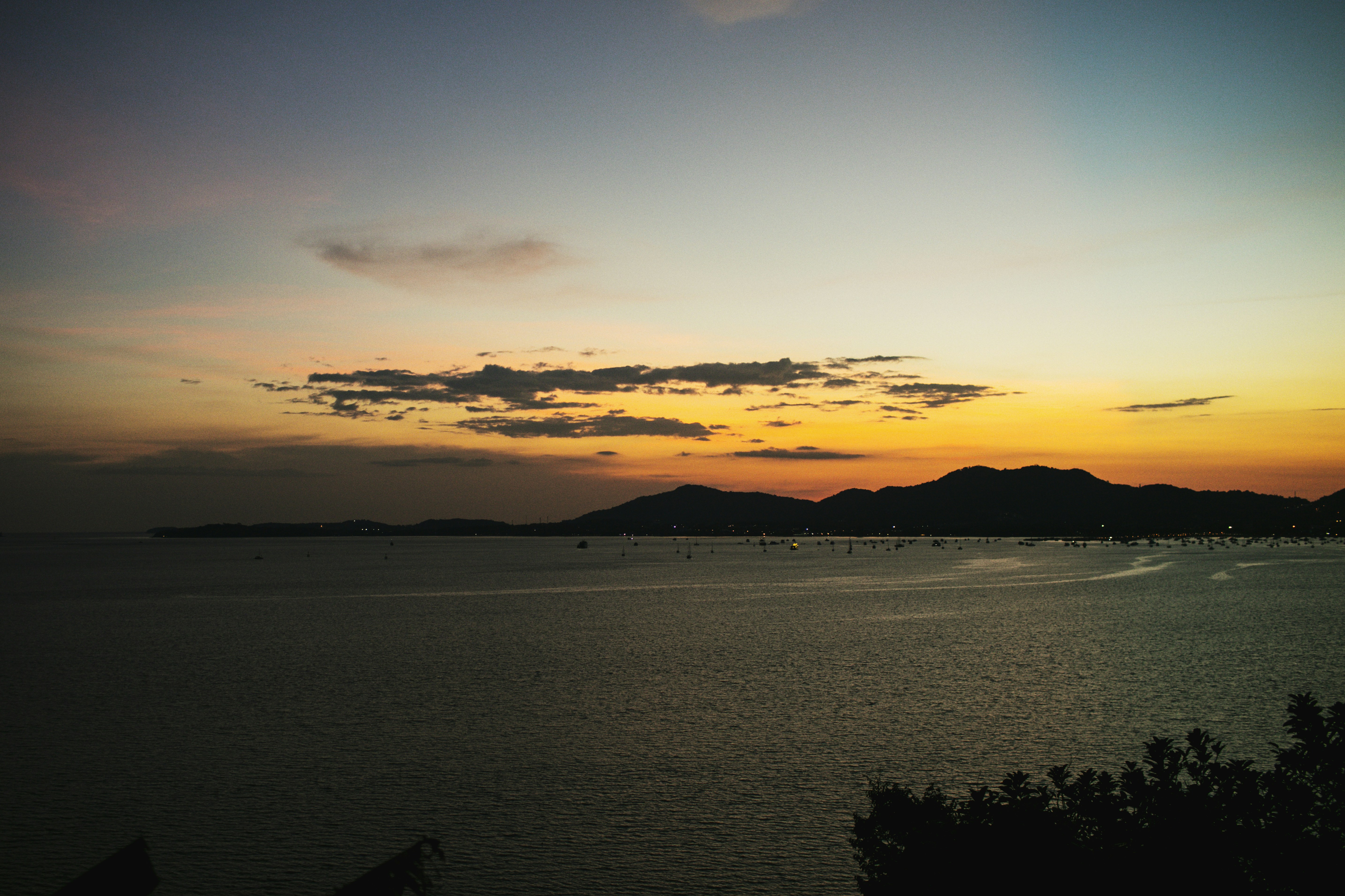 Photo by juliia_abramova