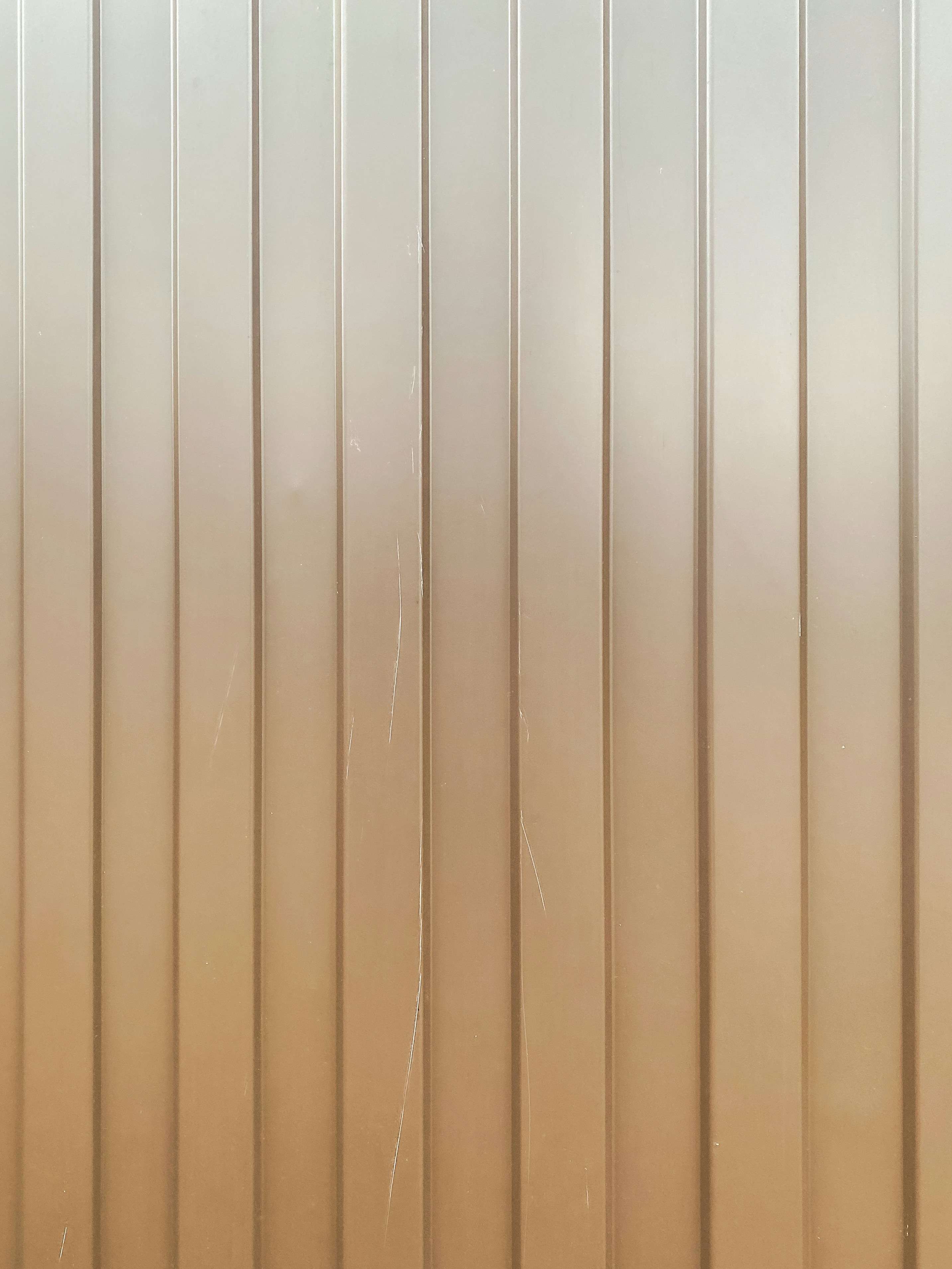 Photo by your_scorpion