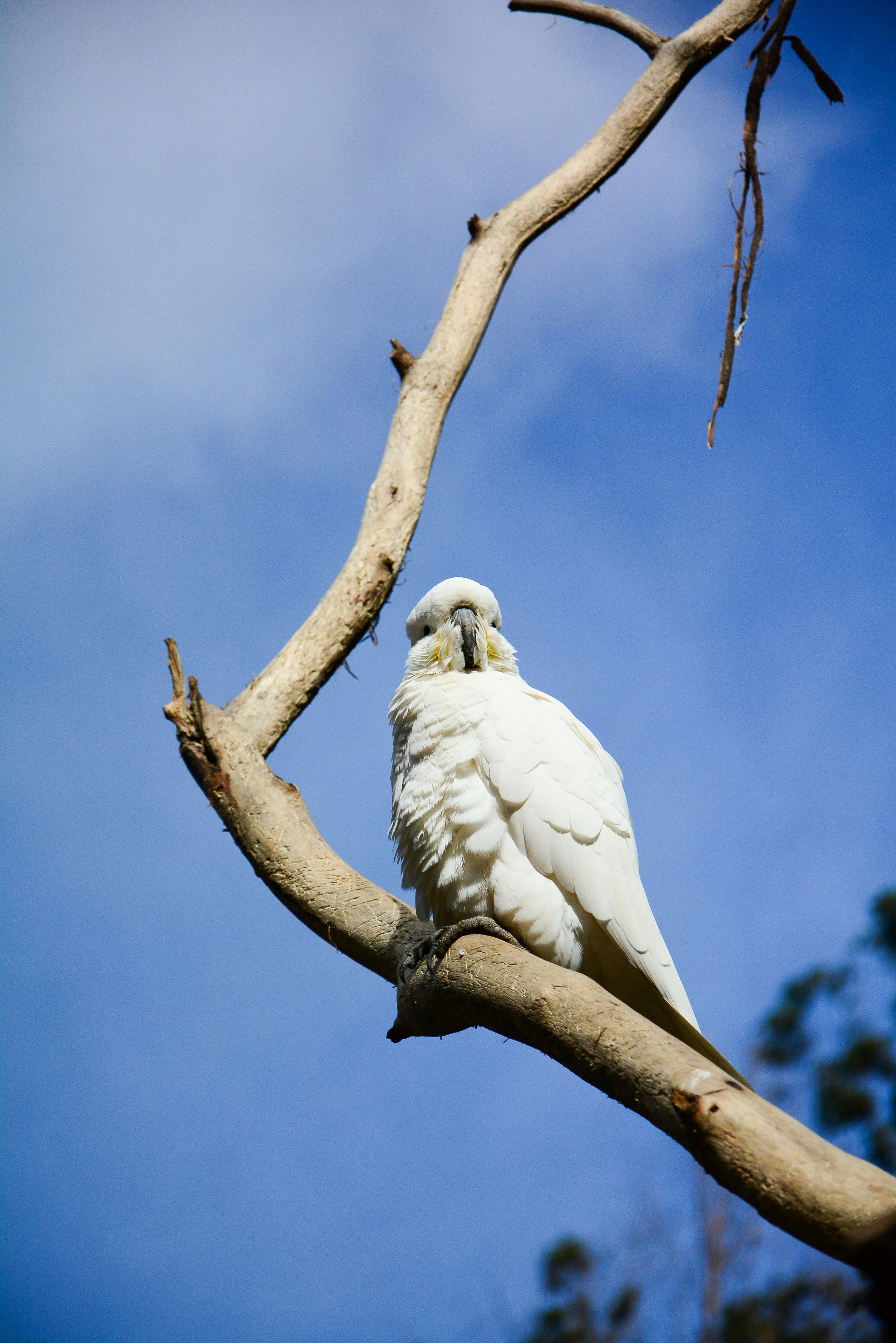 Photo by adriansiaril