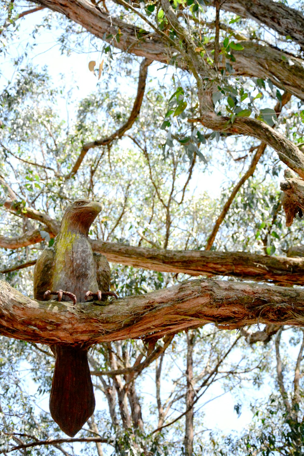 a squirrel on a tree branch