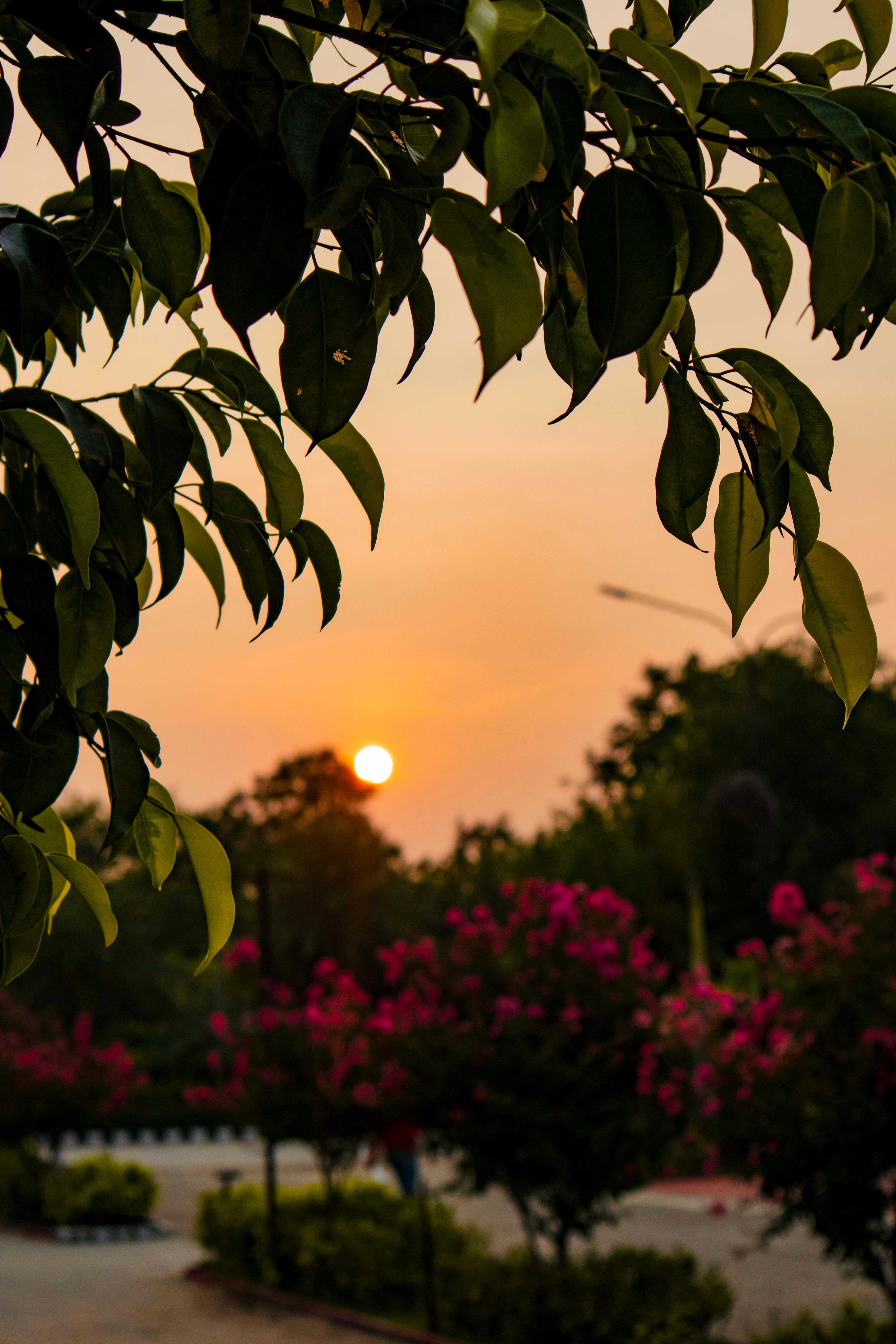 Photo by imdhirajchouhan