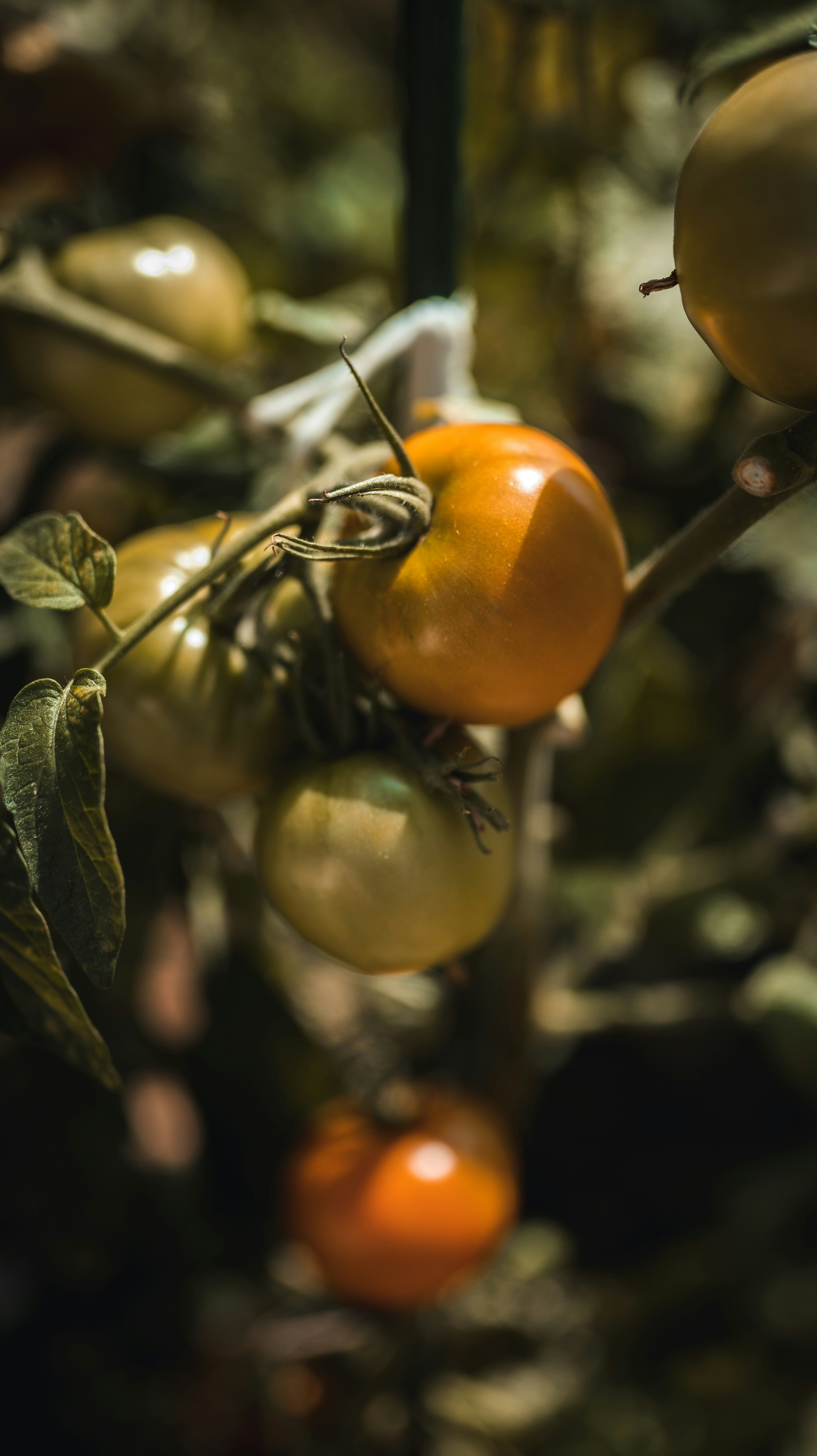 Photo by visualsbyroyalz