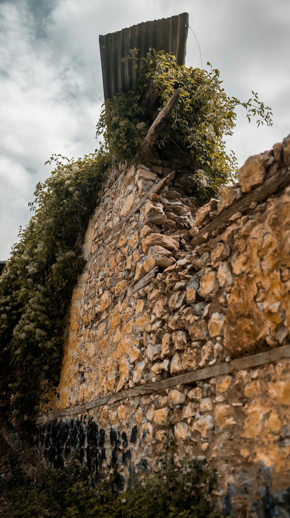 a stone tower with a tree growing on it