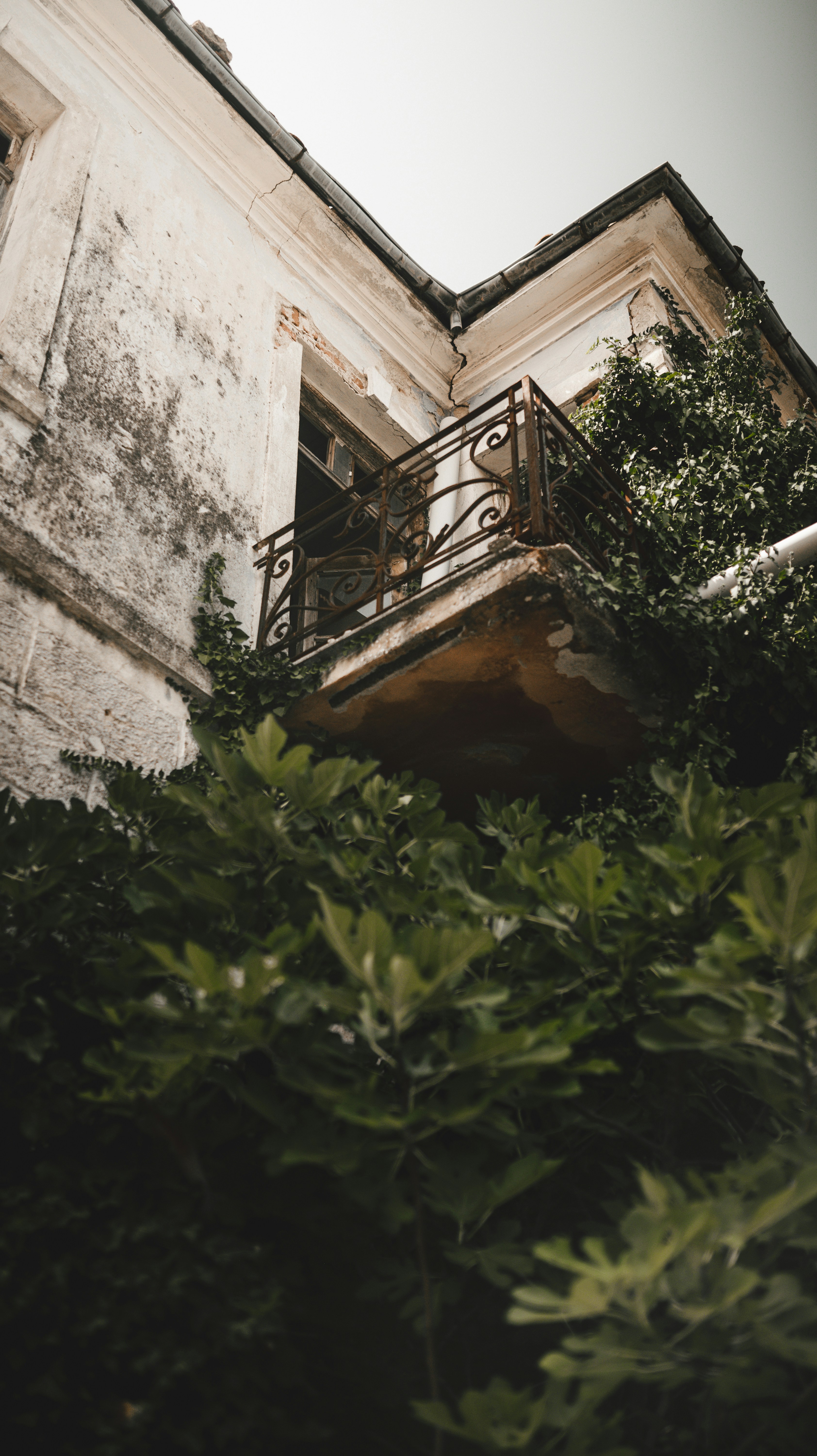 Photo by visualsbyroyalz