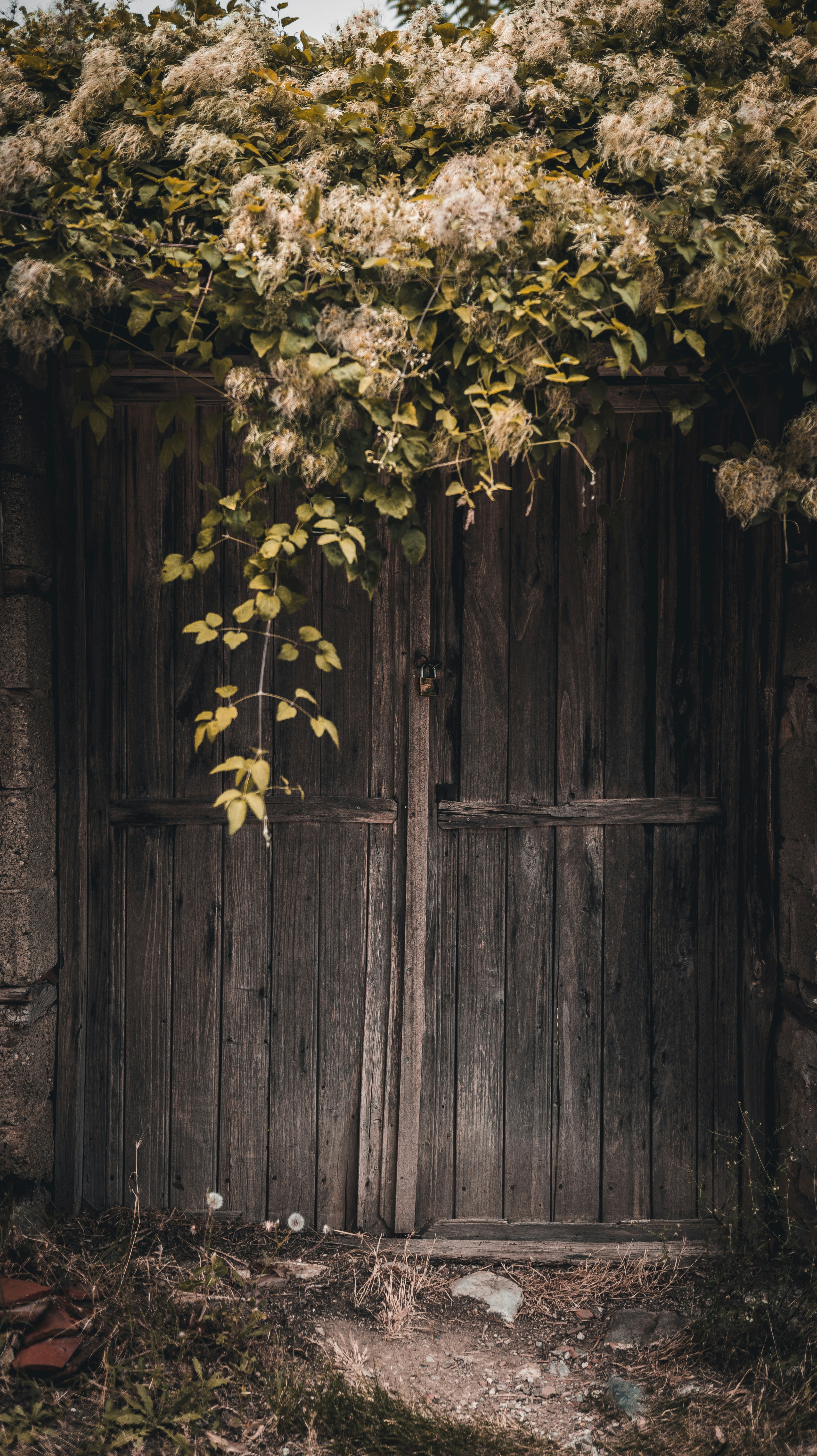 Photo by visualsbyroyalz