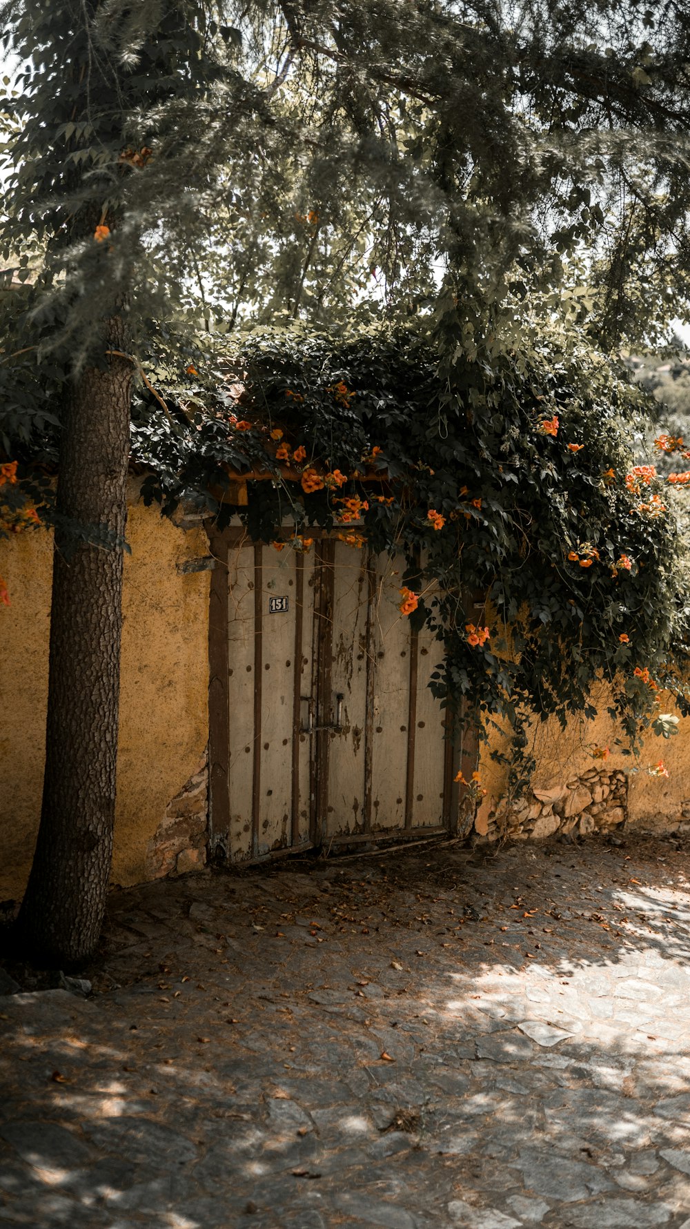 a small shed in a wooded area