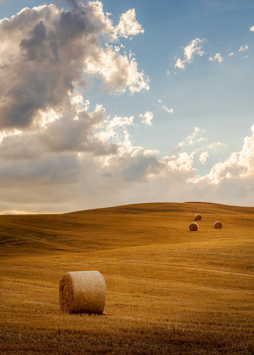 a field of hay with a cloudy sky above