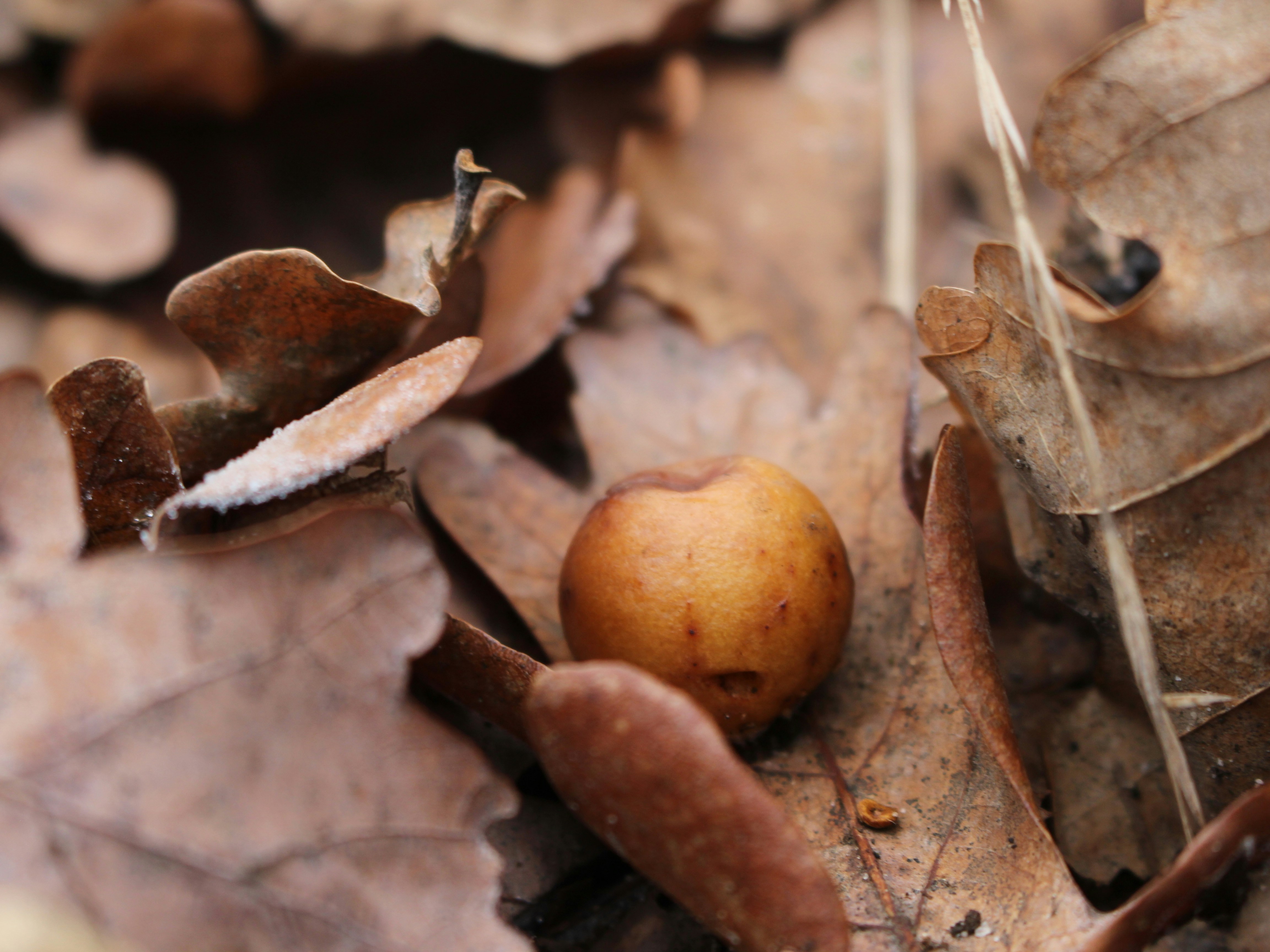 Photo by marjorylucabaxter