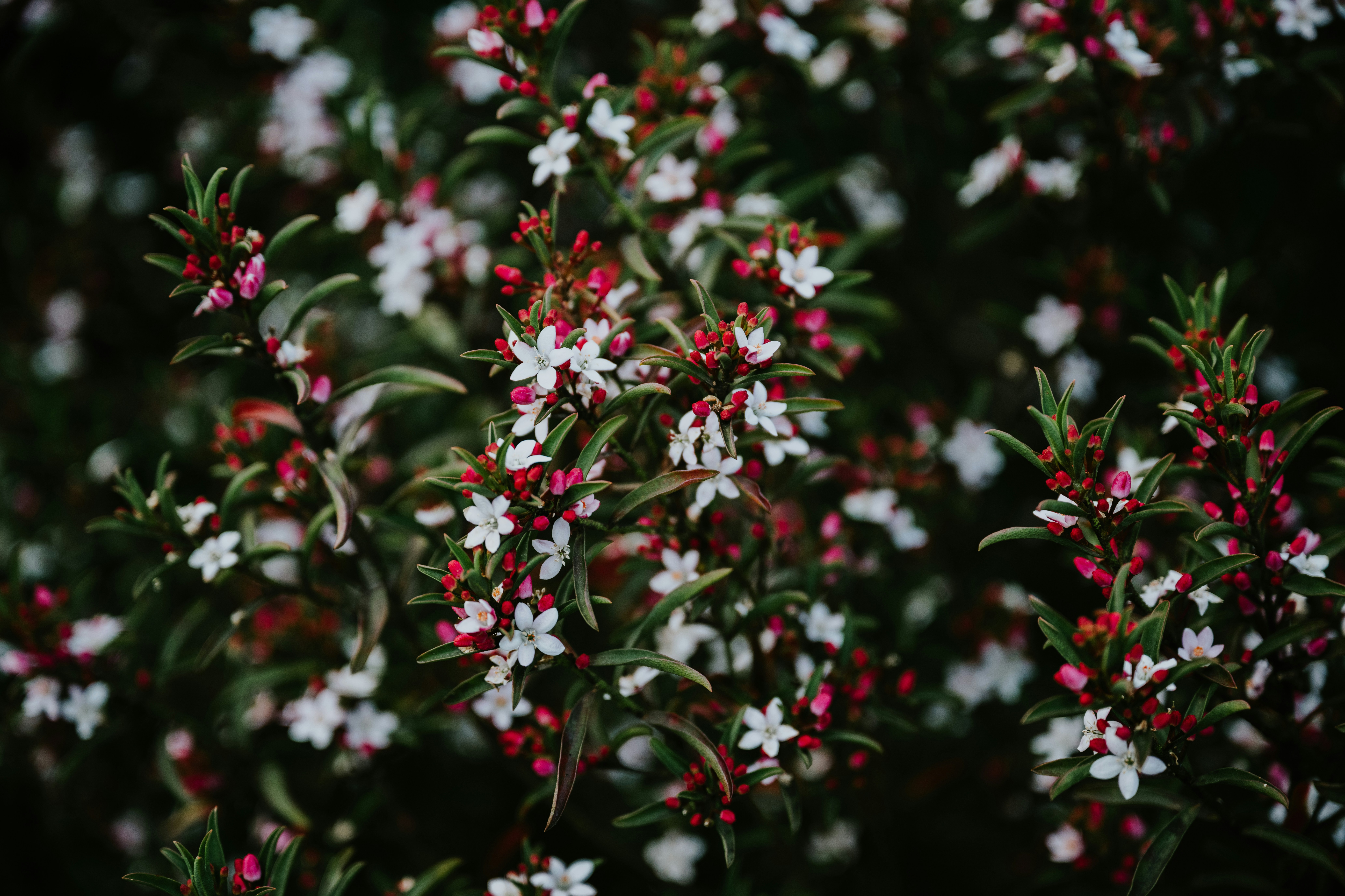 Photo by ryancuerden