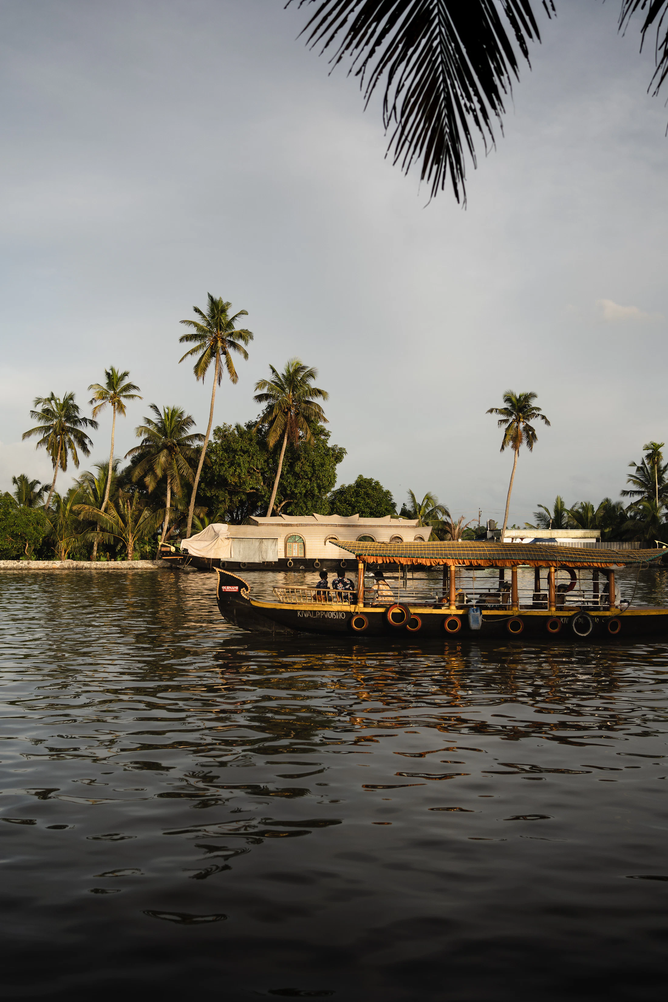 A houseboat drifting on Vembanad Lake beneath a leaning palm