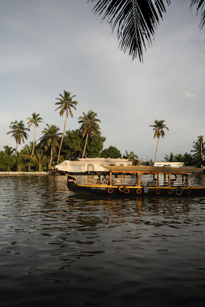 Munnar & Alleppey Houseboat, Kerala photo 5