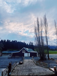 Rustic American-style barn nestled among lush coffee plants on a misty mountain slope.