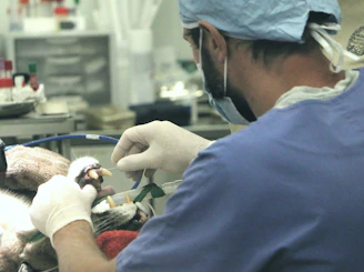 a man in a blue shirt