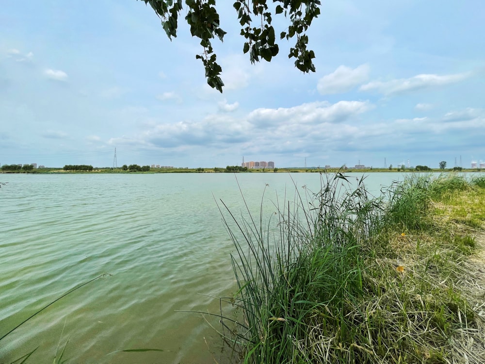 a body of water with grass and a building in the background