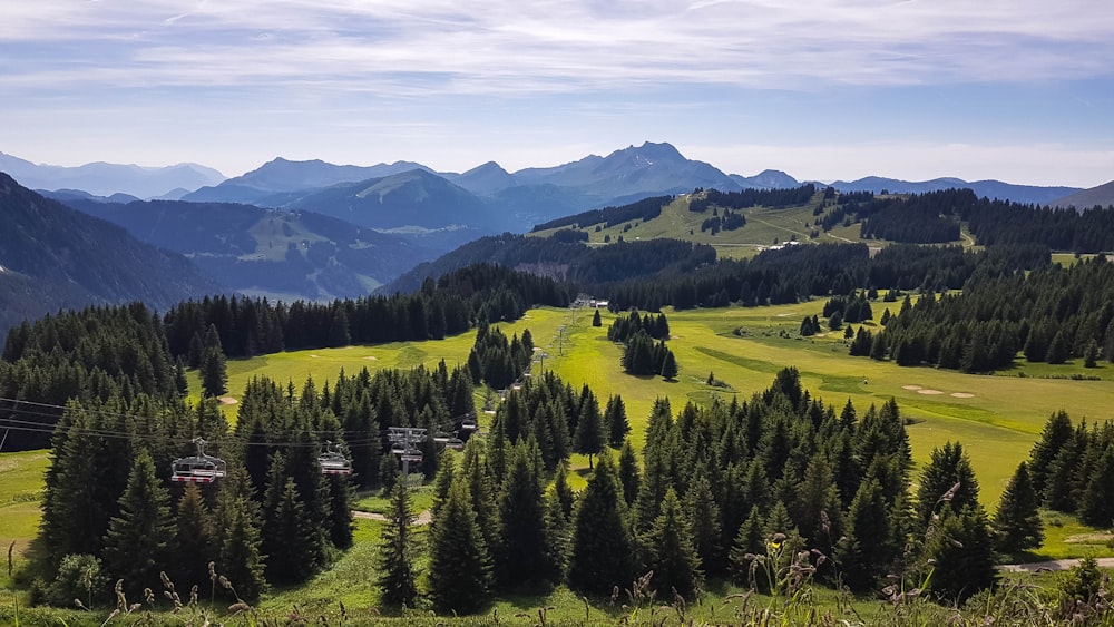 a landscape with trees and mountains in the background