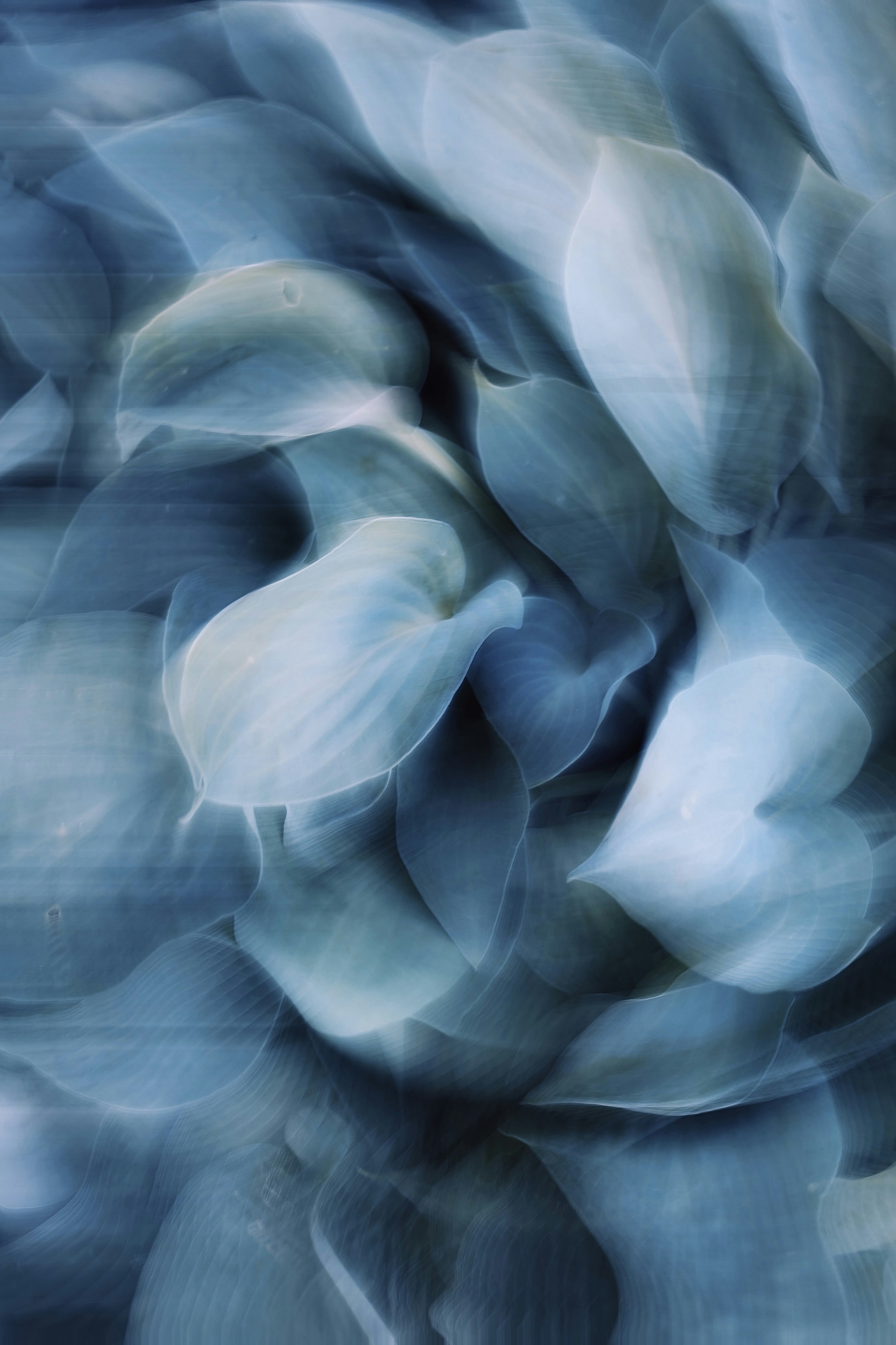 Photo by eugene_golovesov