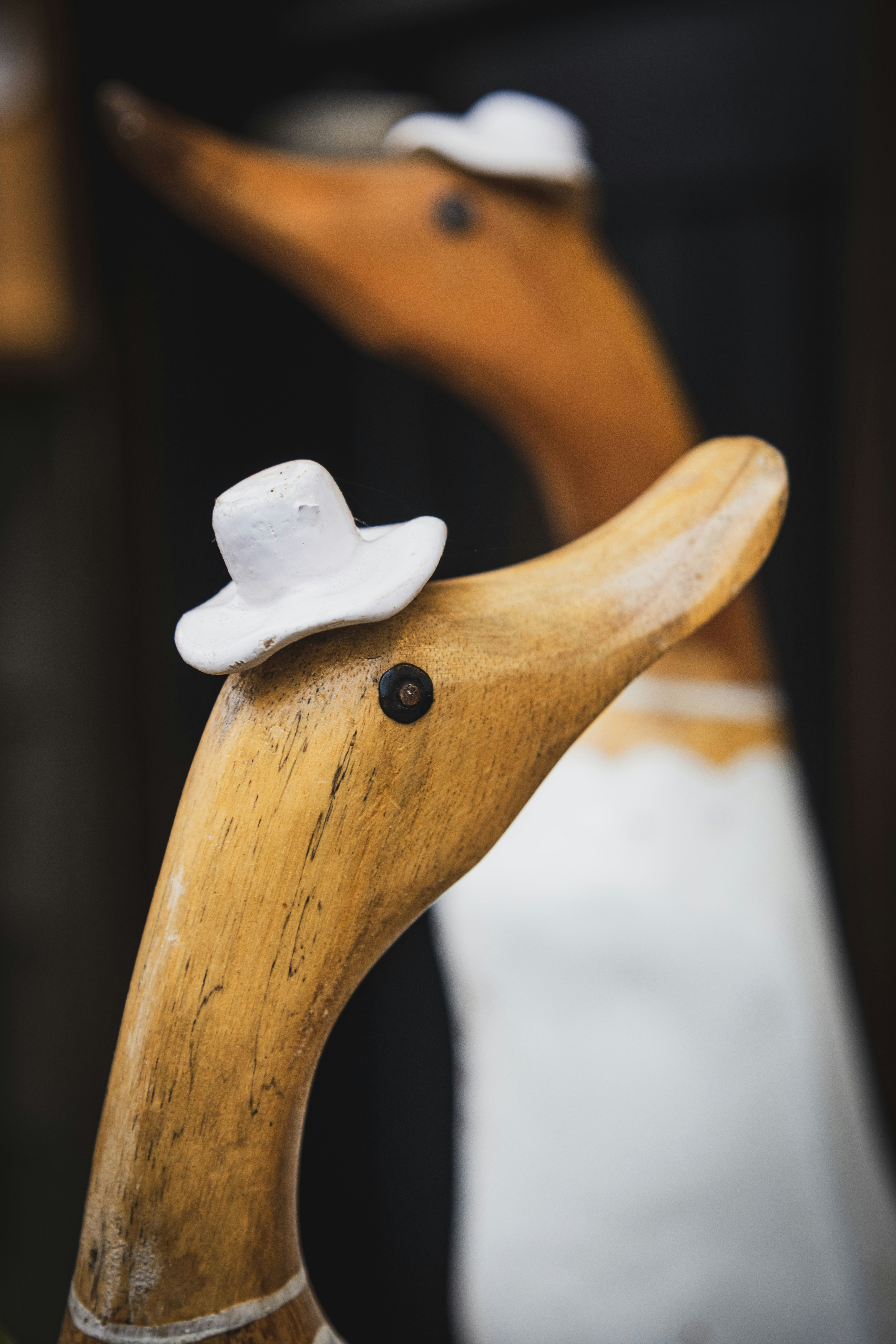 Photo by photosofkorea