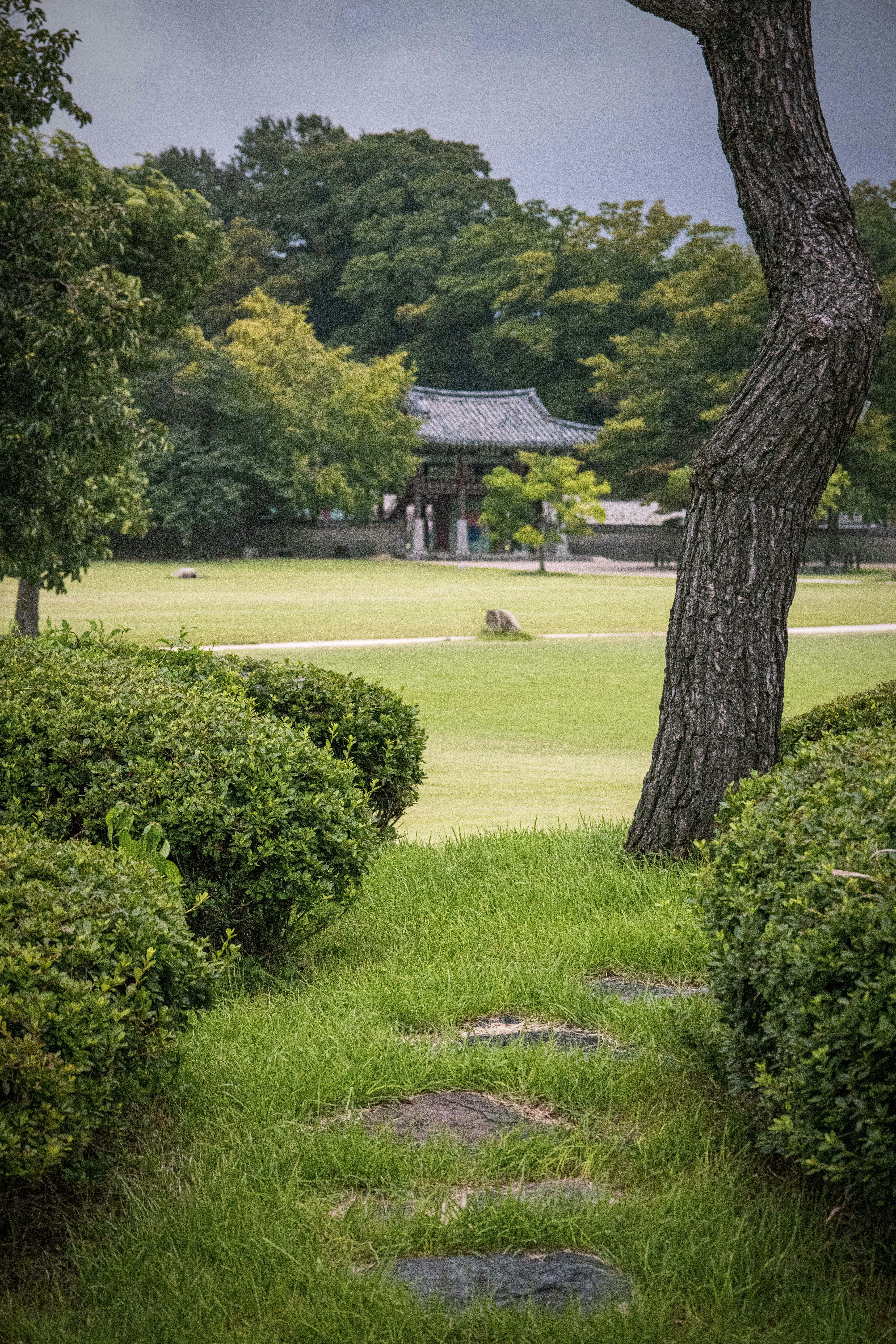 a building in a park