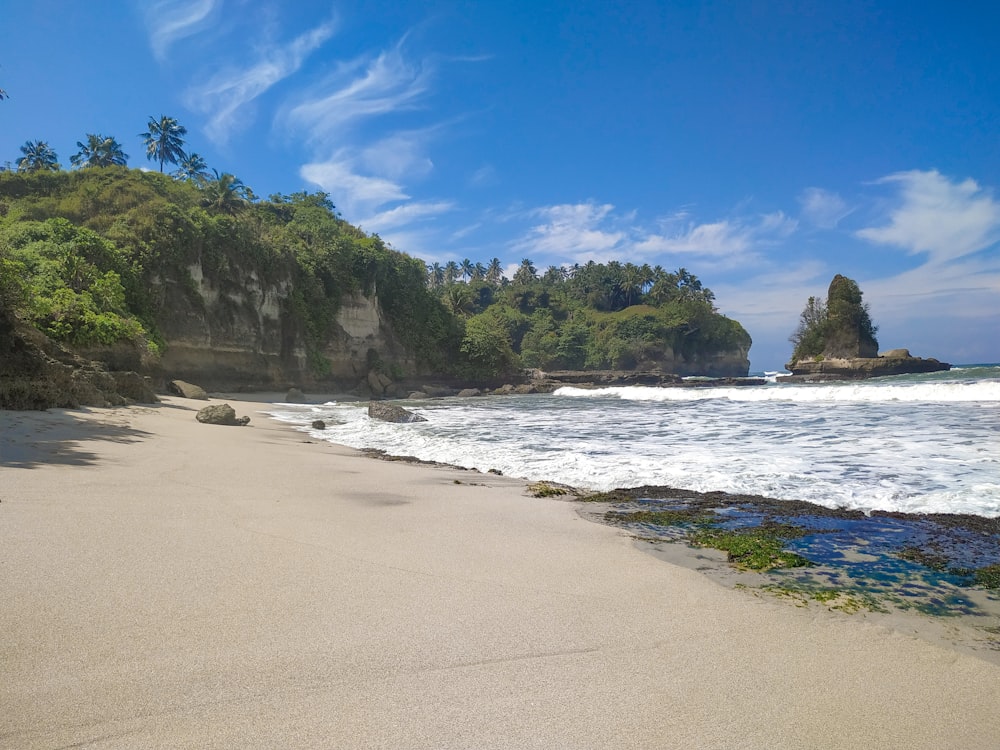 a beach with trees and water