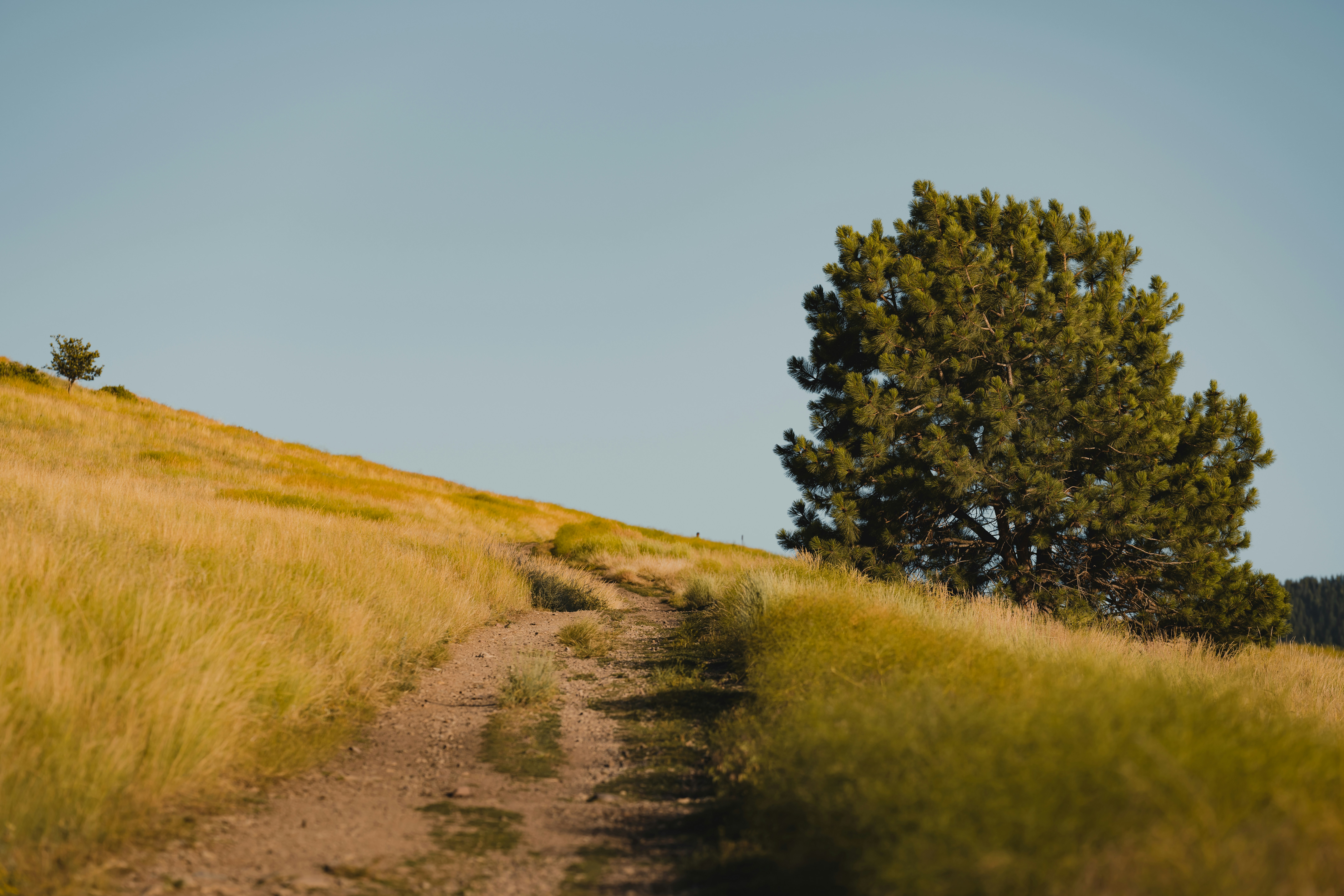 Photo by yohanmarion