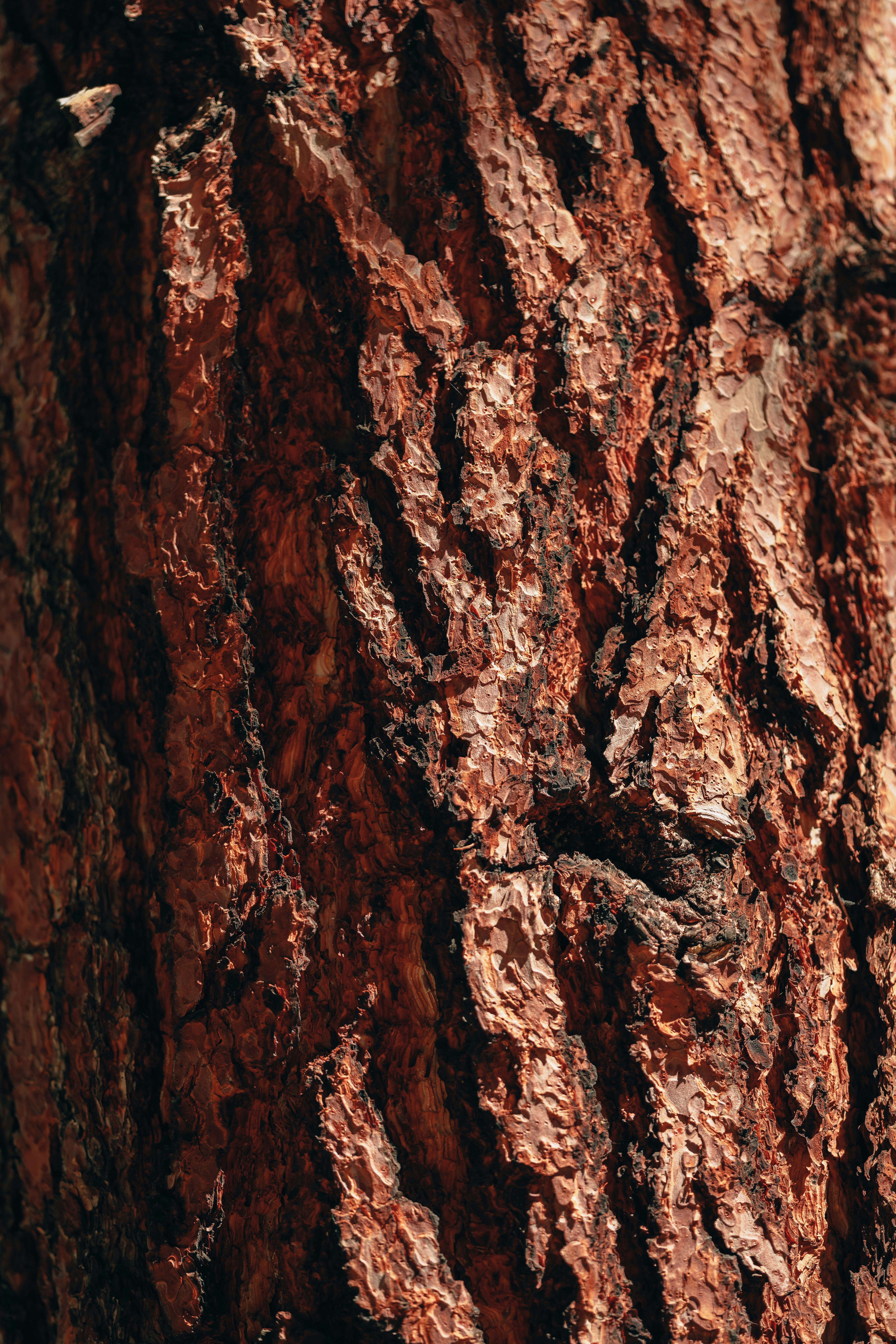 Photo by yohanmarion