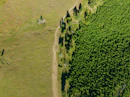 a large green landscape