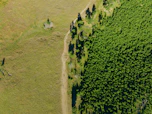 a large green landscape