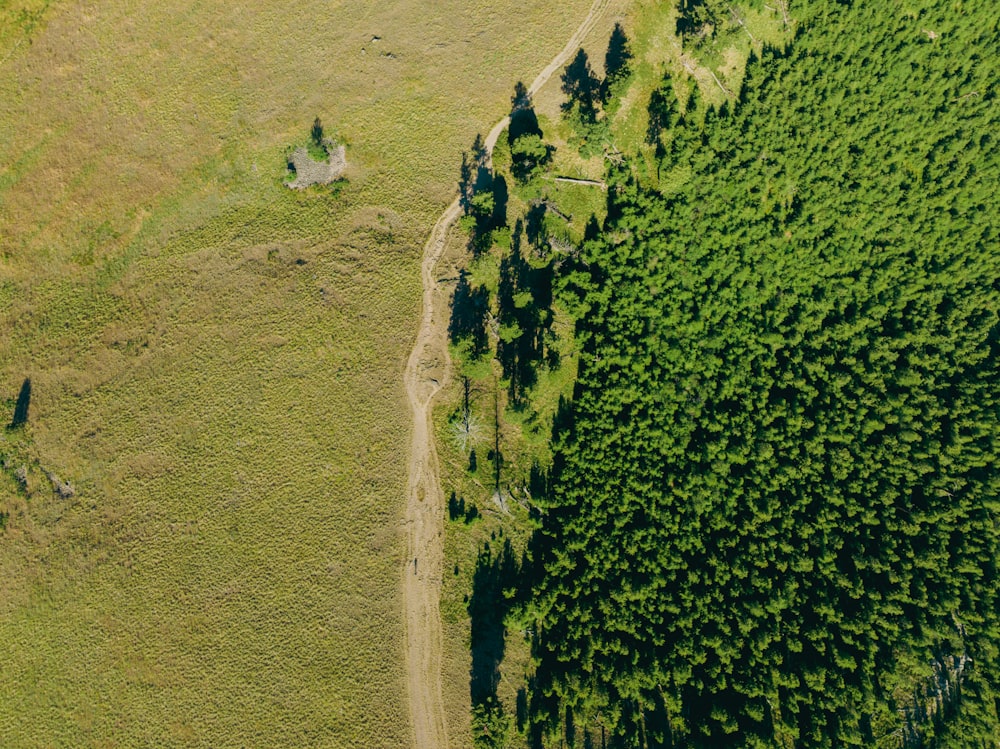 Un gran paisaje verde