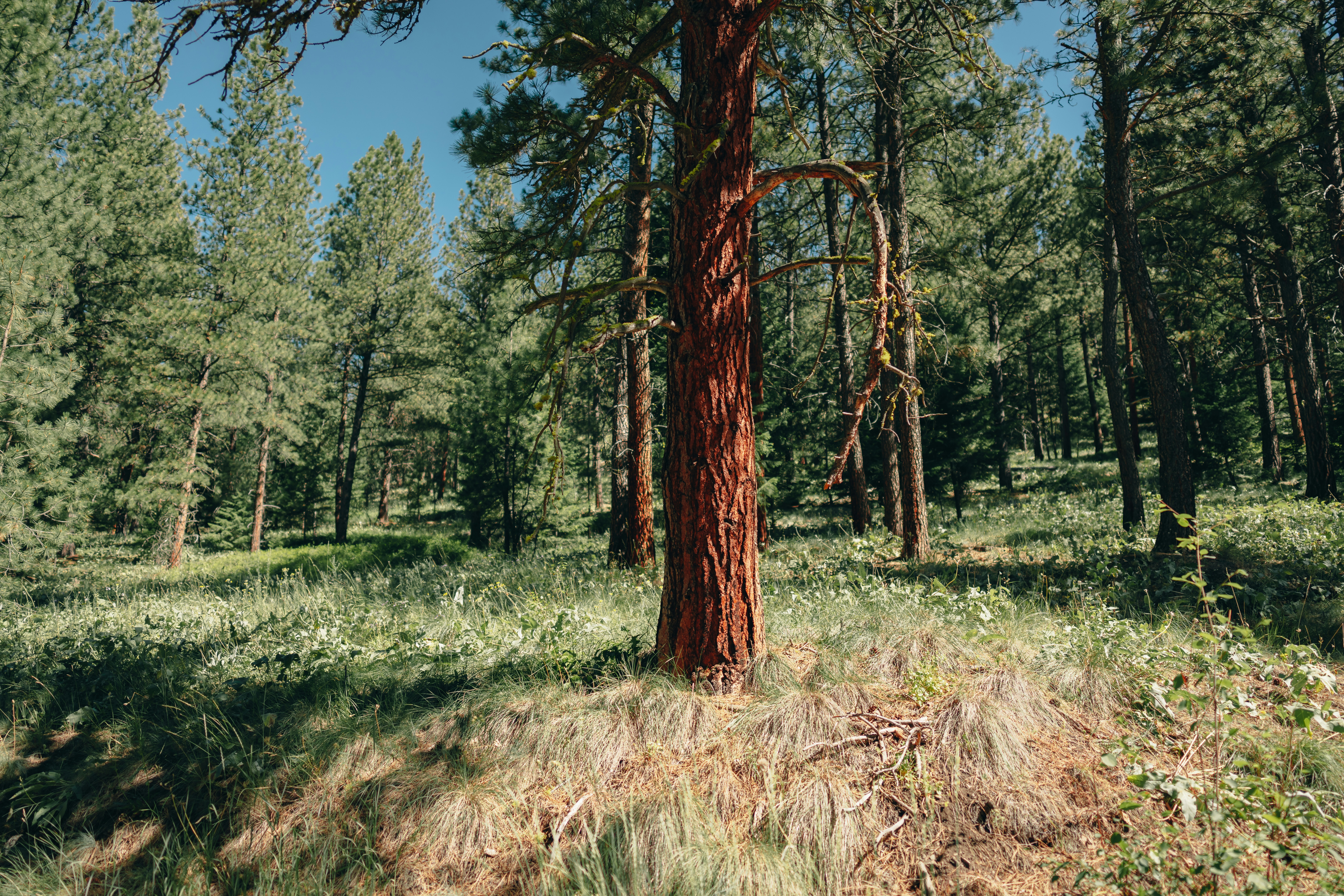 Photo by yohanmarion