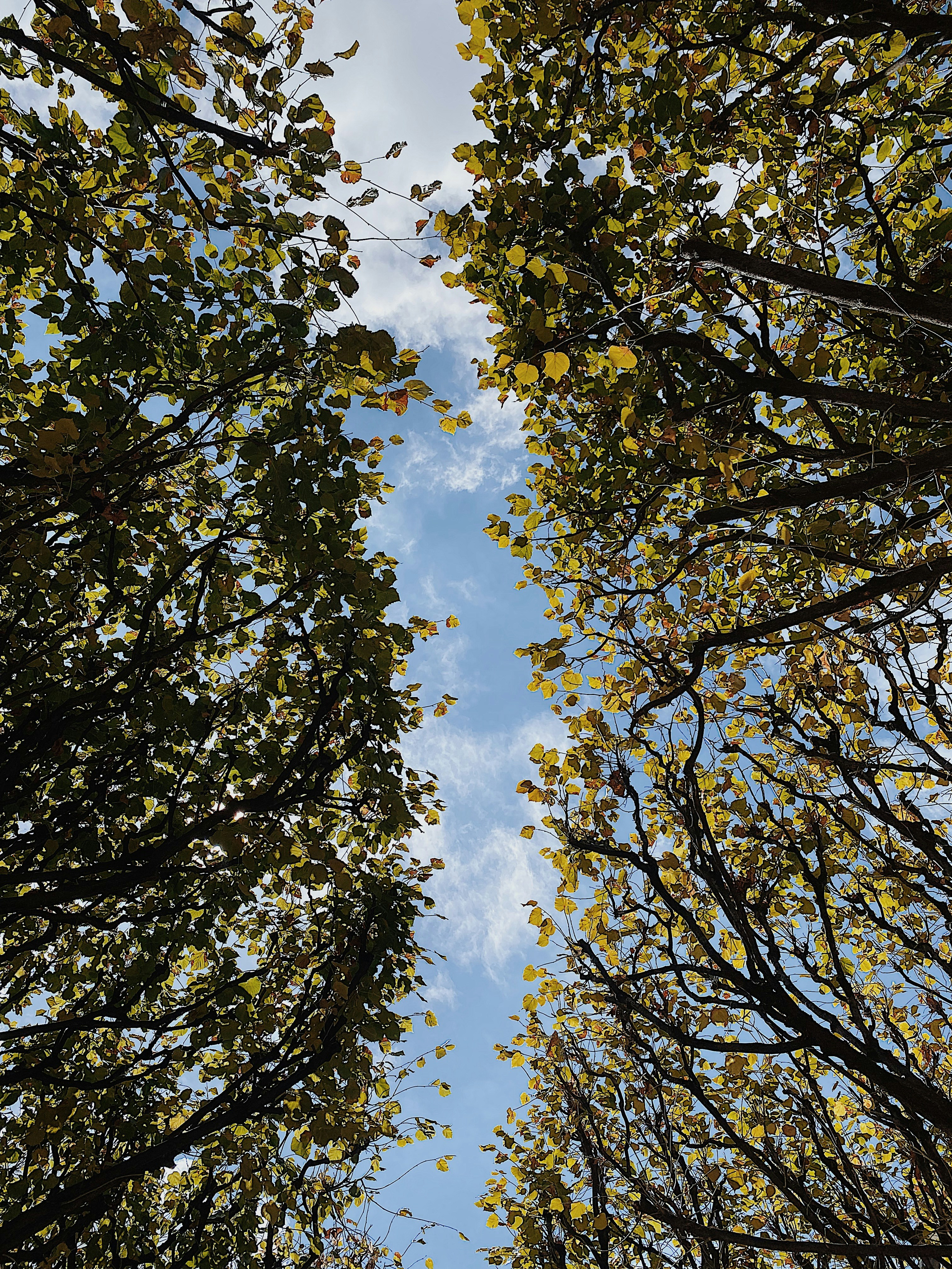 Photo by e_christensen