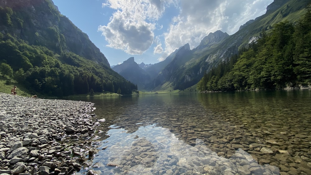 a river with rocks and trees