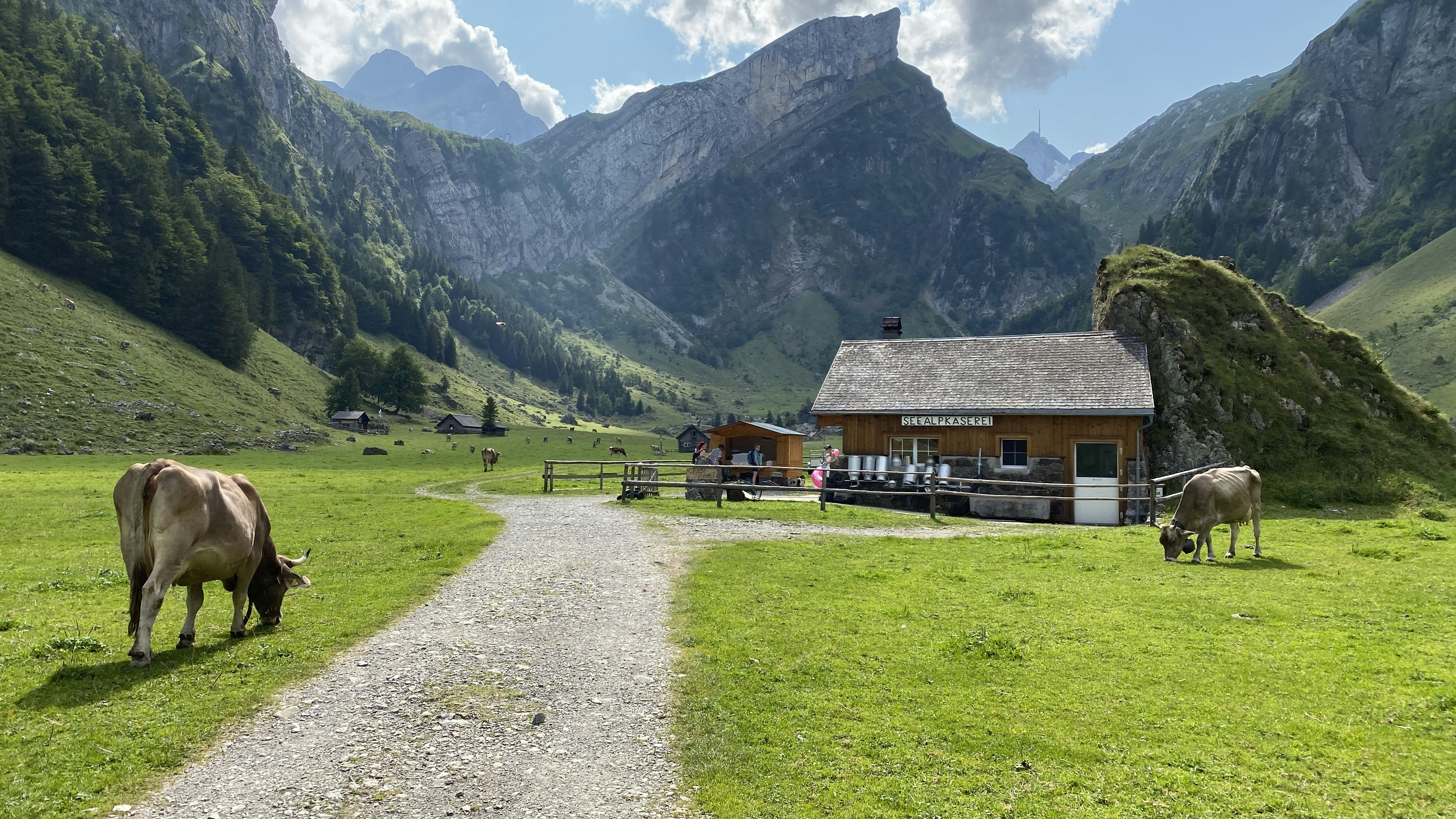 Photo by vahidjameei