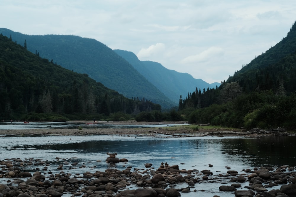 a river with rocks and trees