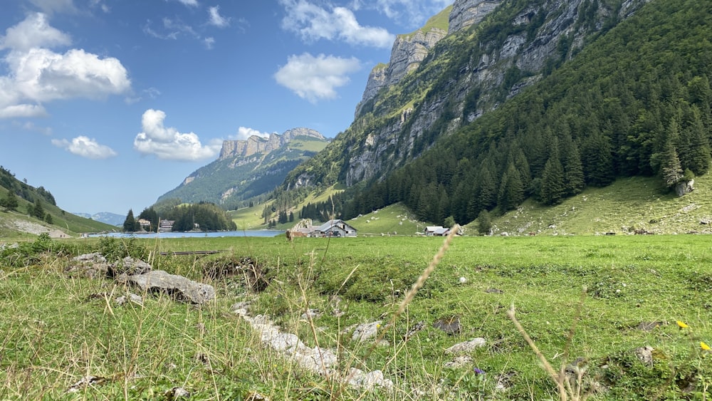 a grassy area with a body of water and mountains in the background