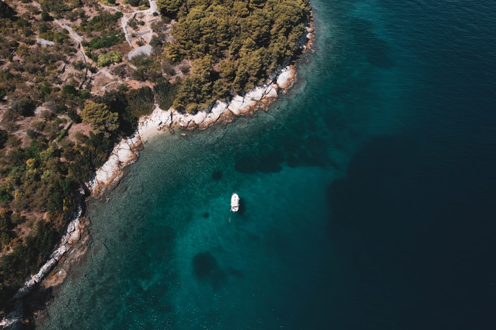 a body of water with a rocky shore and trees