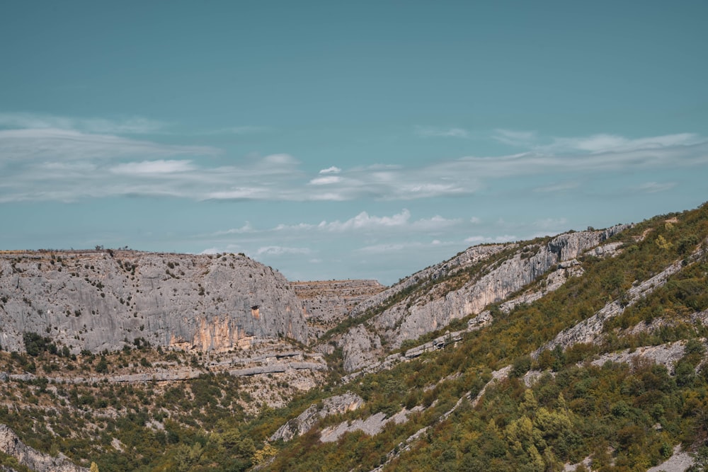 a landscape with trees and rocks