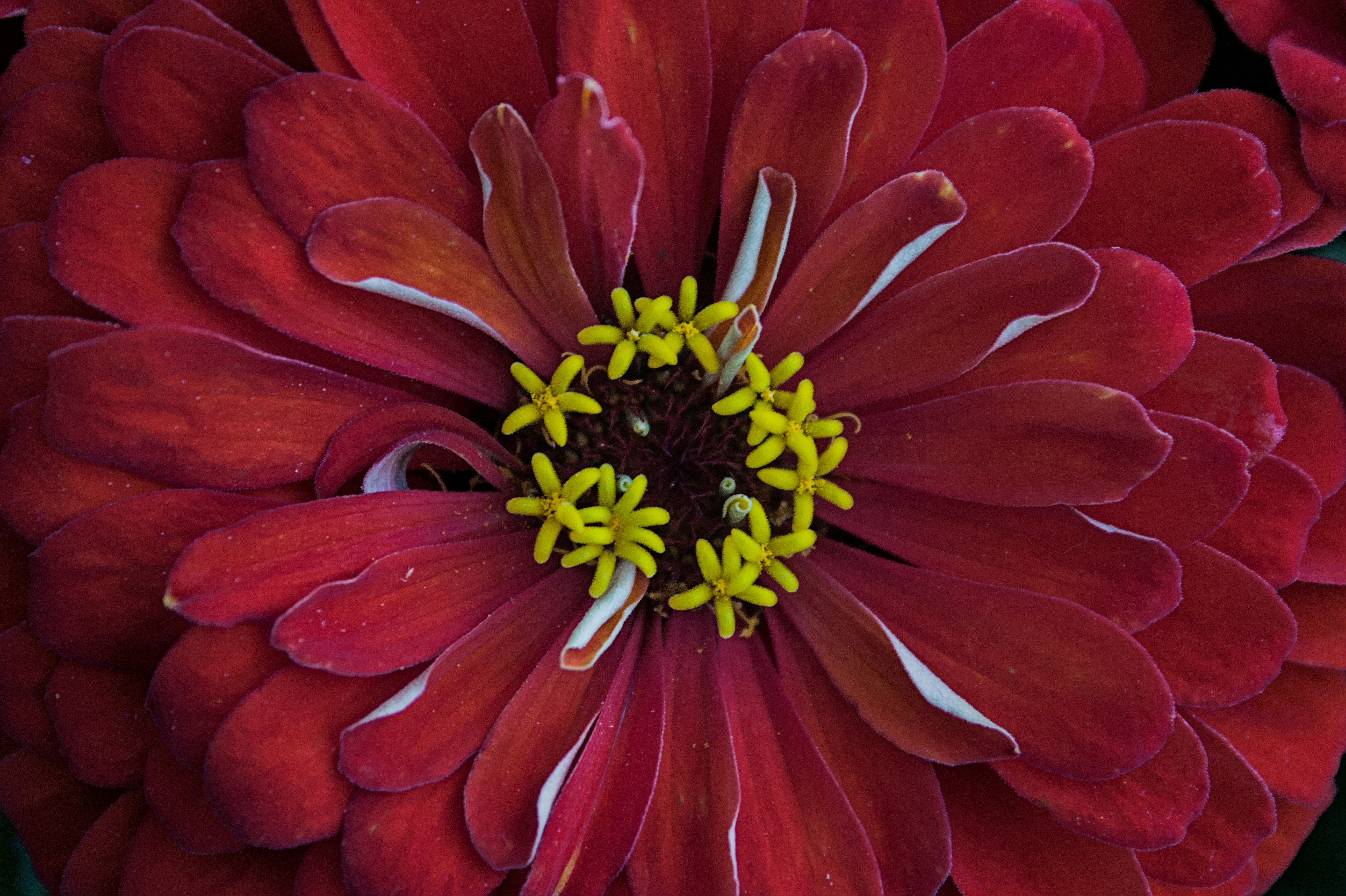 Photo by brunomiguel