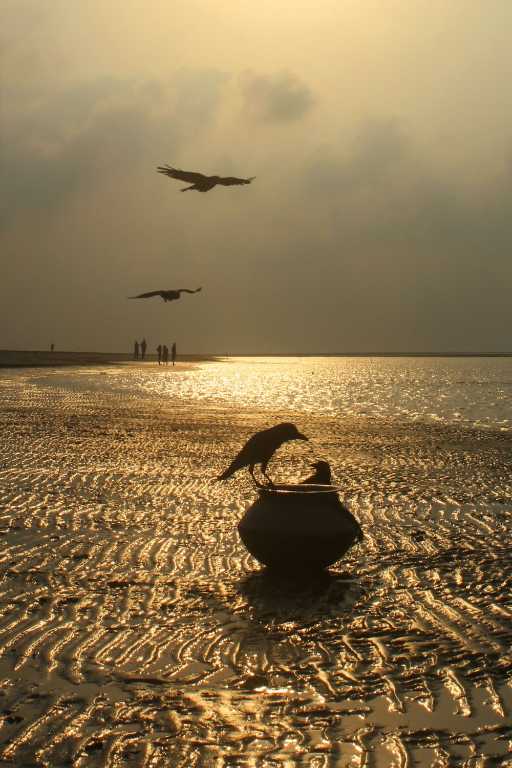 Pájaros volando sobre el agua