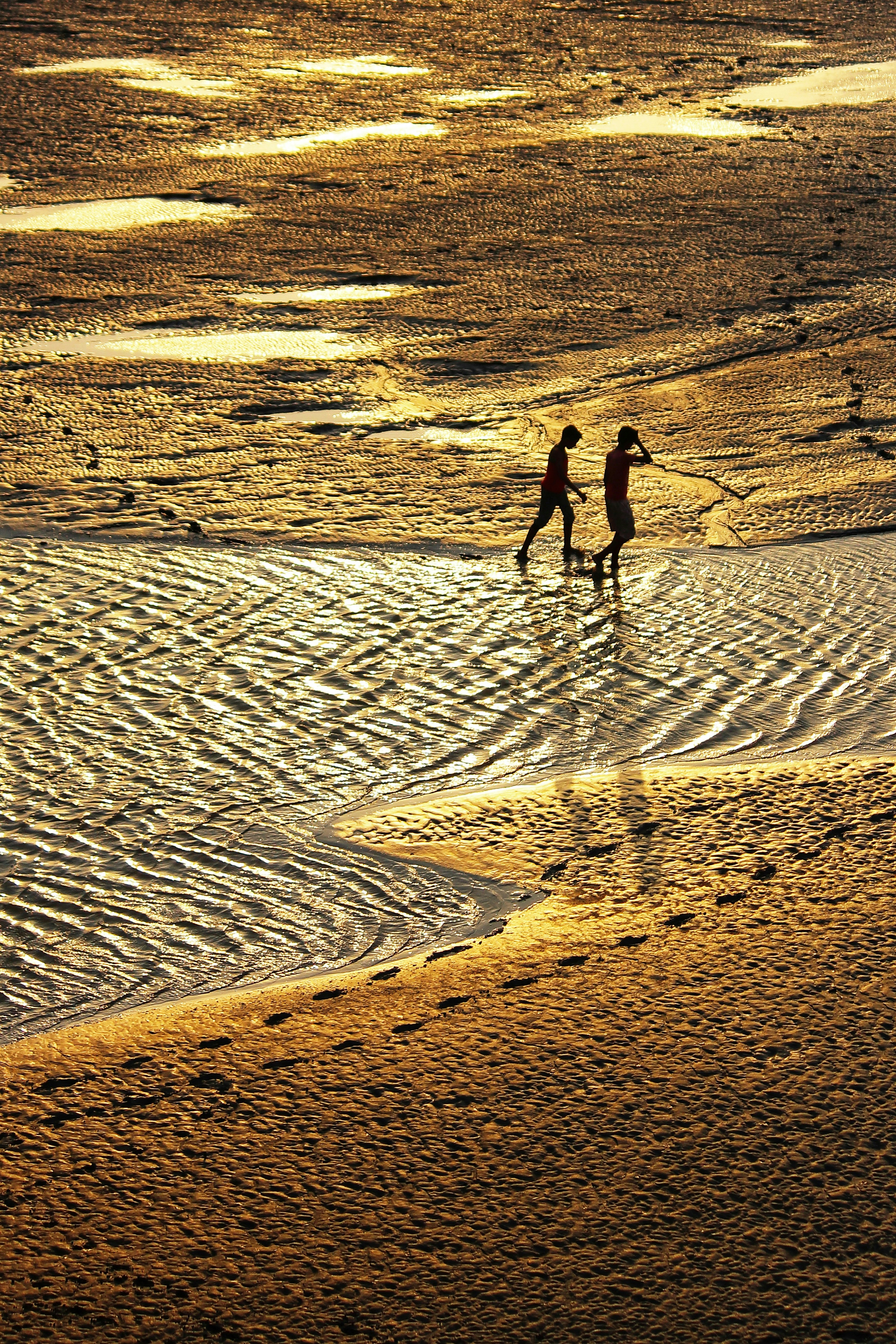 a couple of people walking on a beach