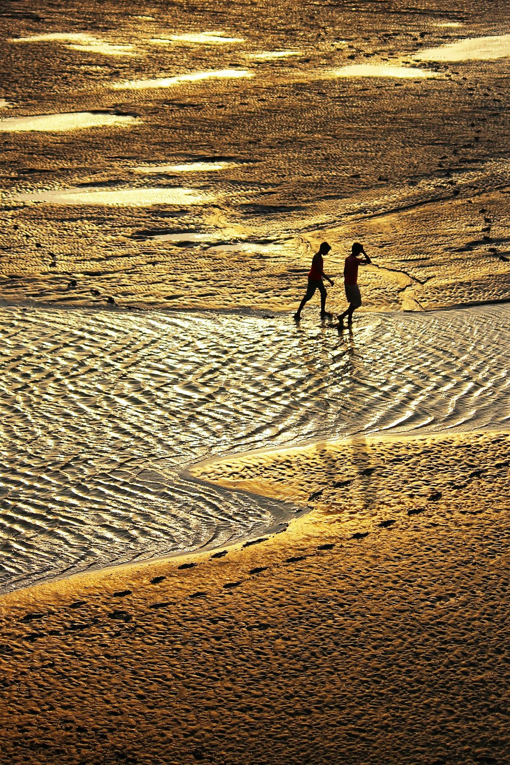 um par de pessoas andando em uma praia