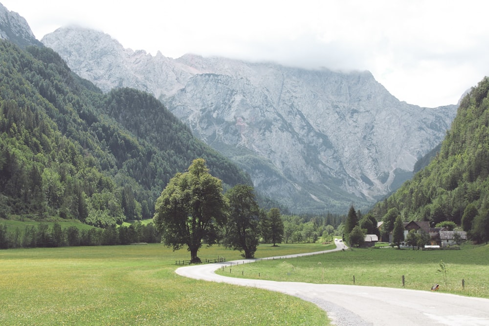 a road leading to a mountain